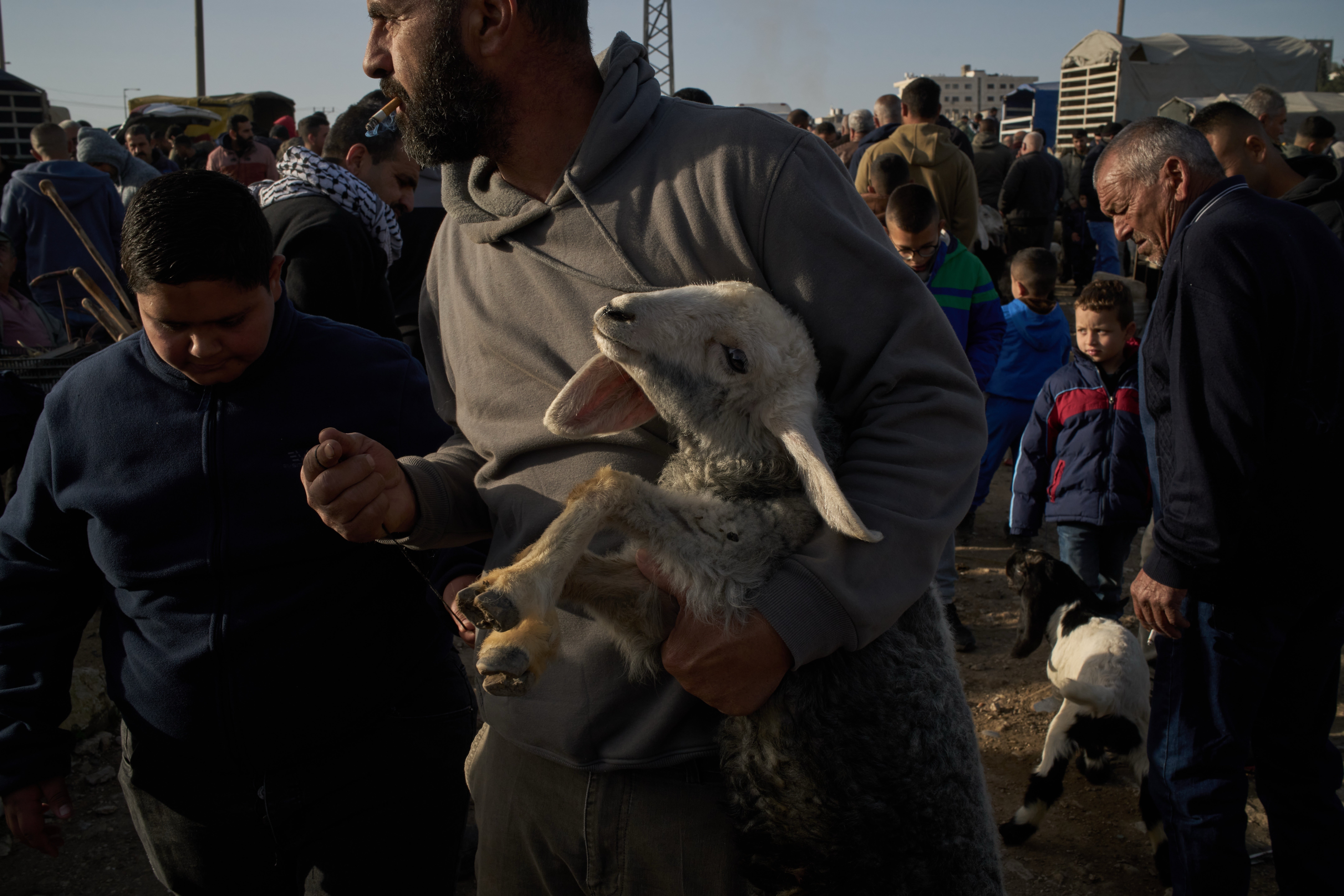 APTOPIX Palestinians Livestock Market