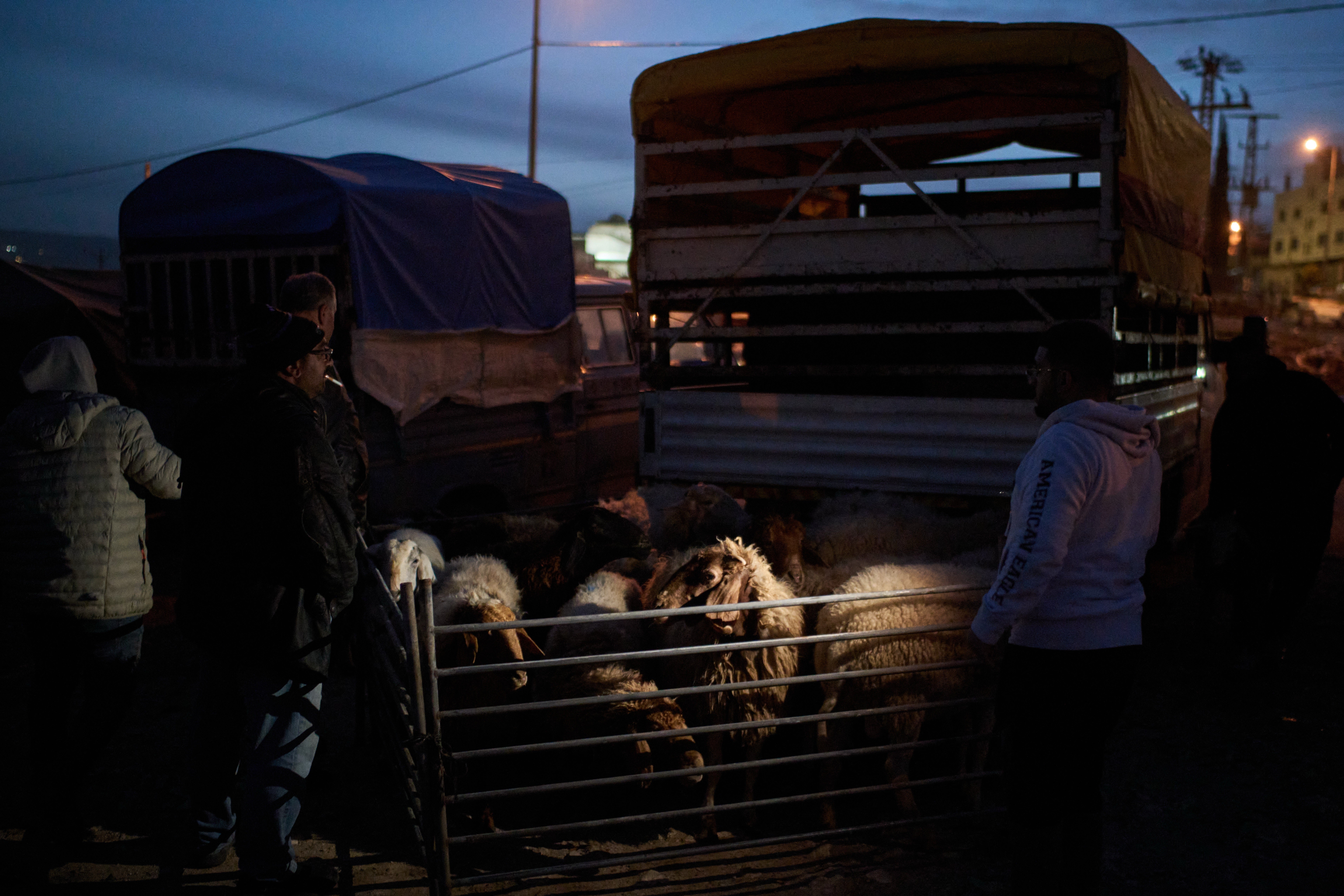 Palestinians Livestock Market