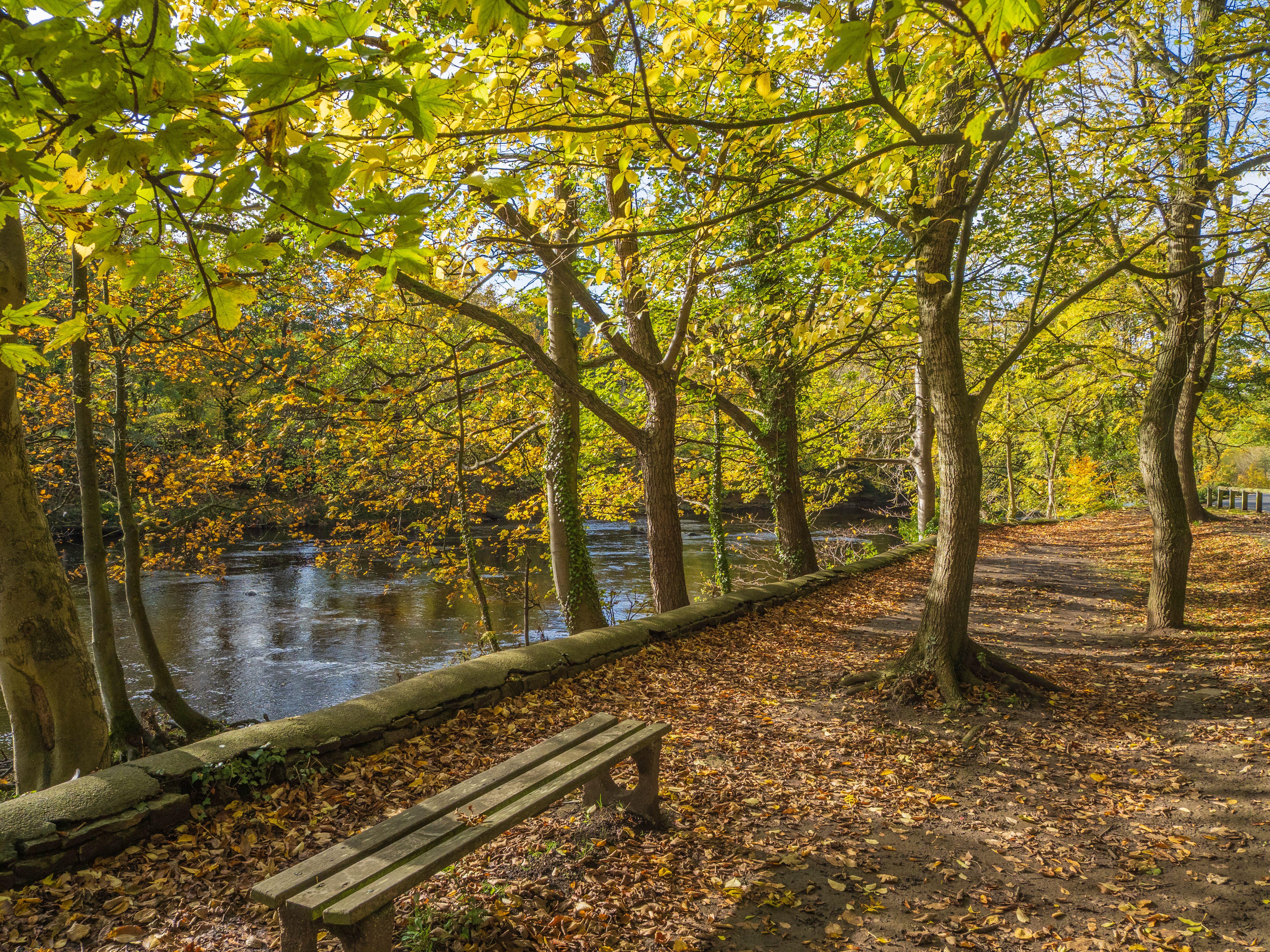 The River Swale in Richmond, north Yorkshire (Alamy/PA)