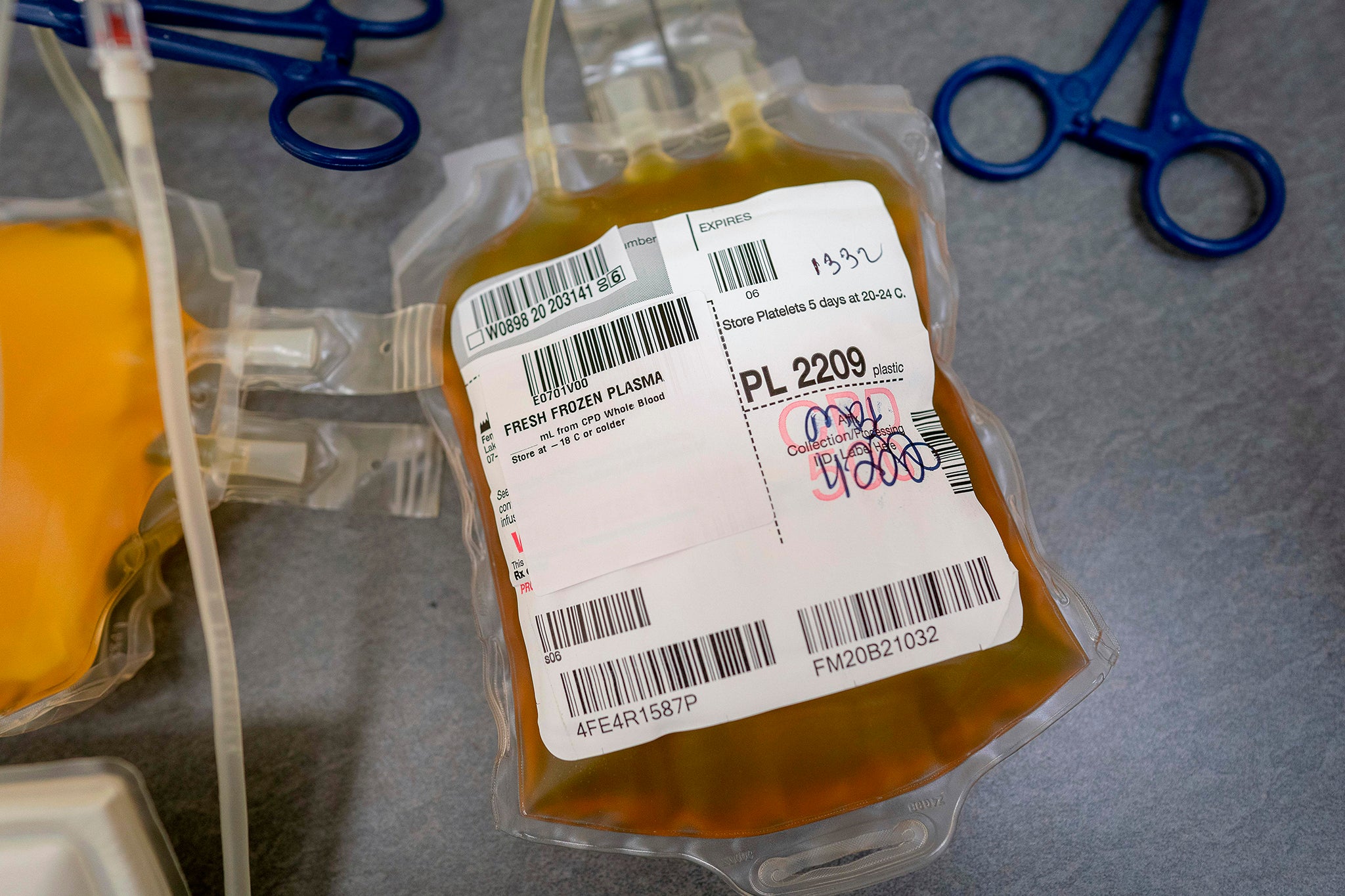Americans are turned to blood donation to make money as the economy bites