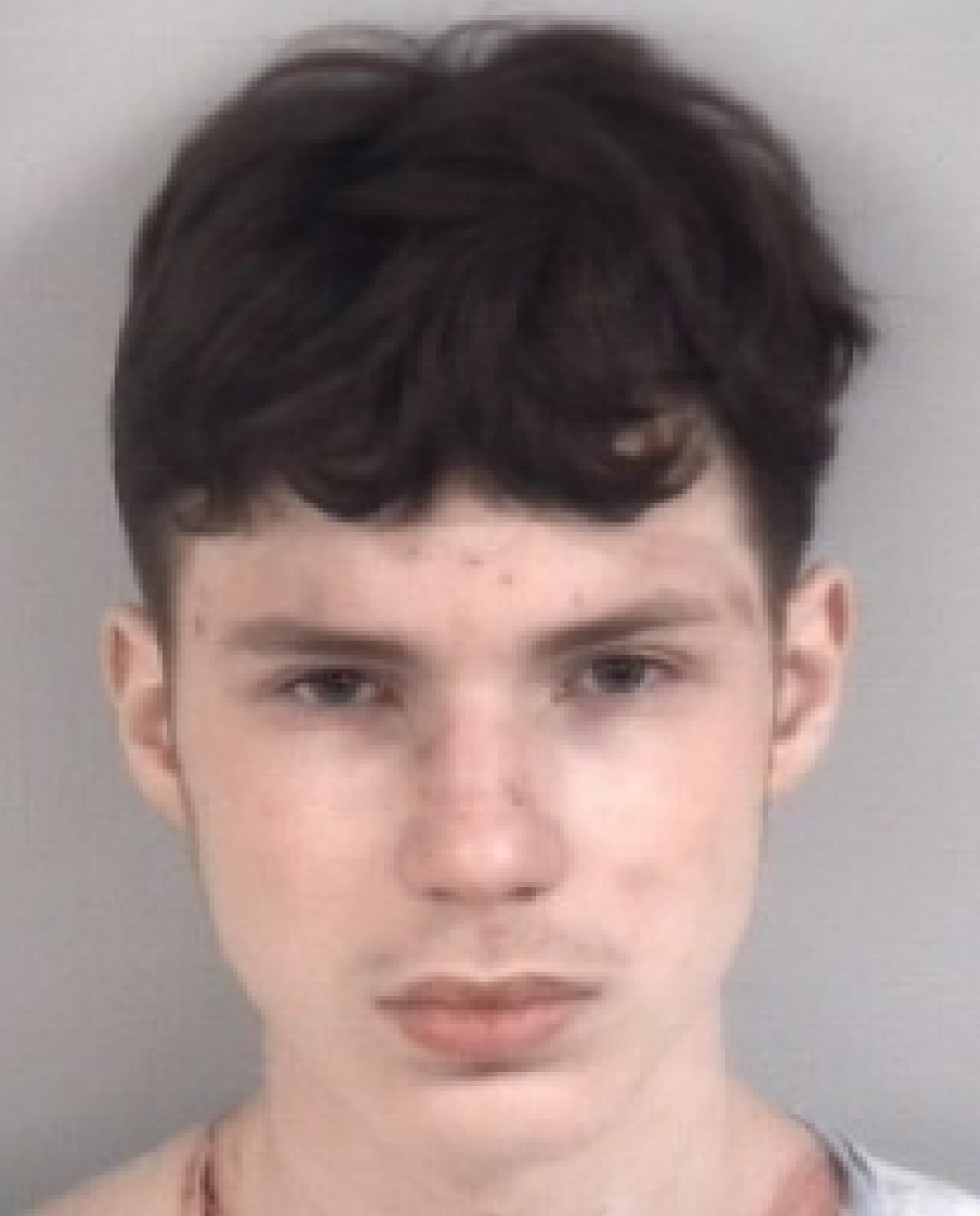 Isaac Gideon Tracy, 17, is charged with first-degree murder in the death of his mother Katharine Svaldi