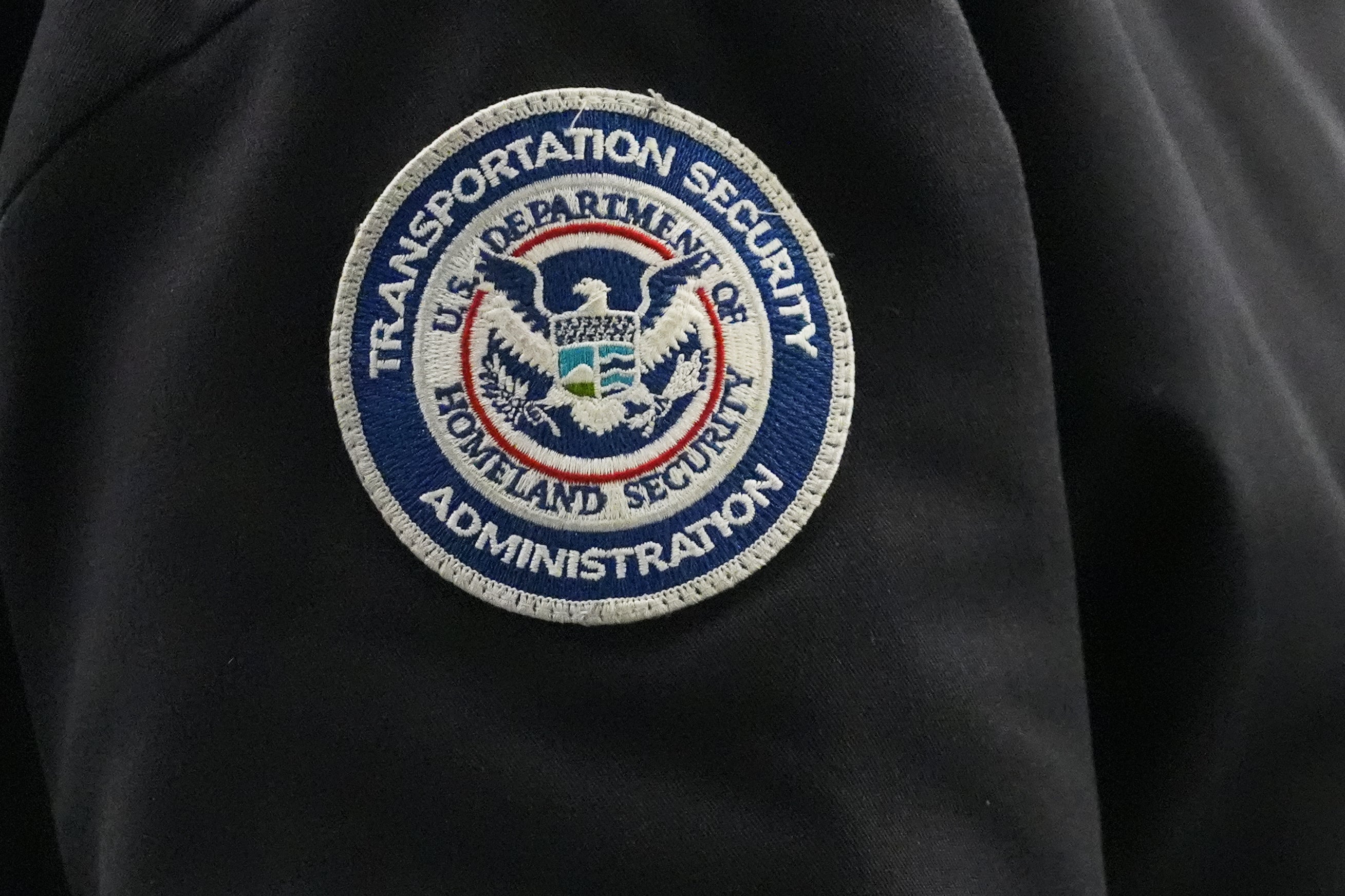 Congress Homeland Security Air Travel