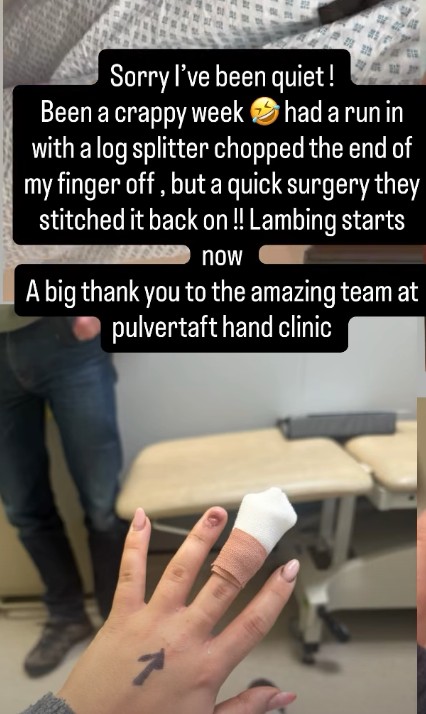 Harriet Cowan had 'run in with log splitter'