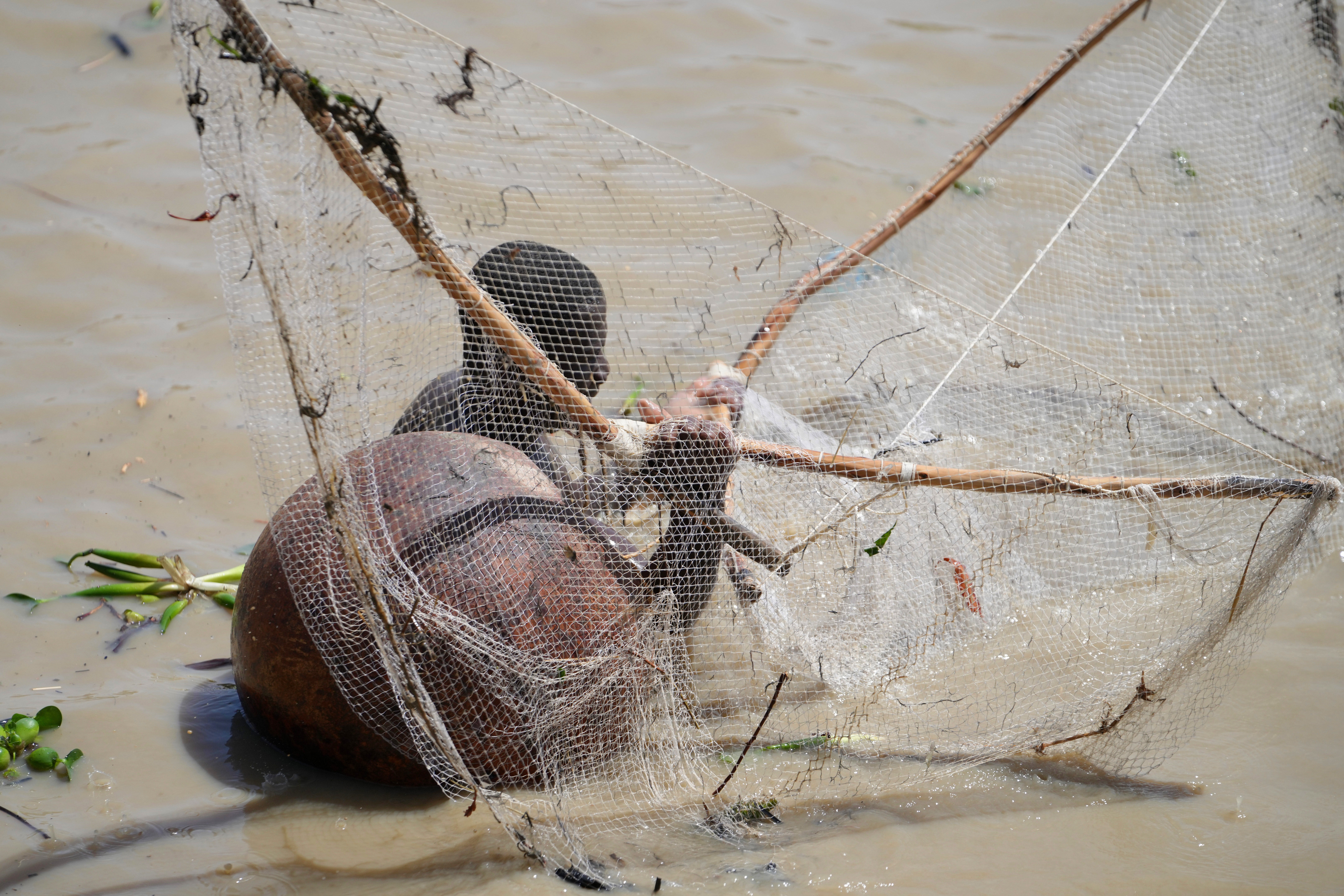 Nigeria Argungu Fishing Festival