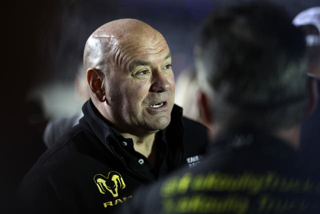 <p>UFC president and CEO Dana White </p>