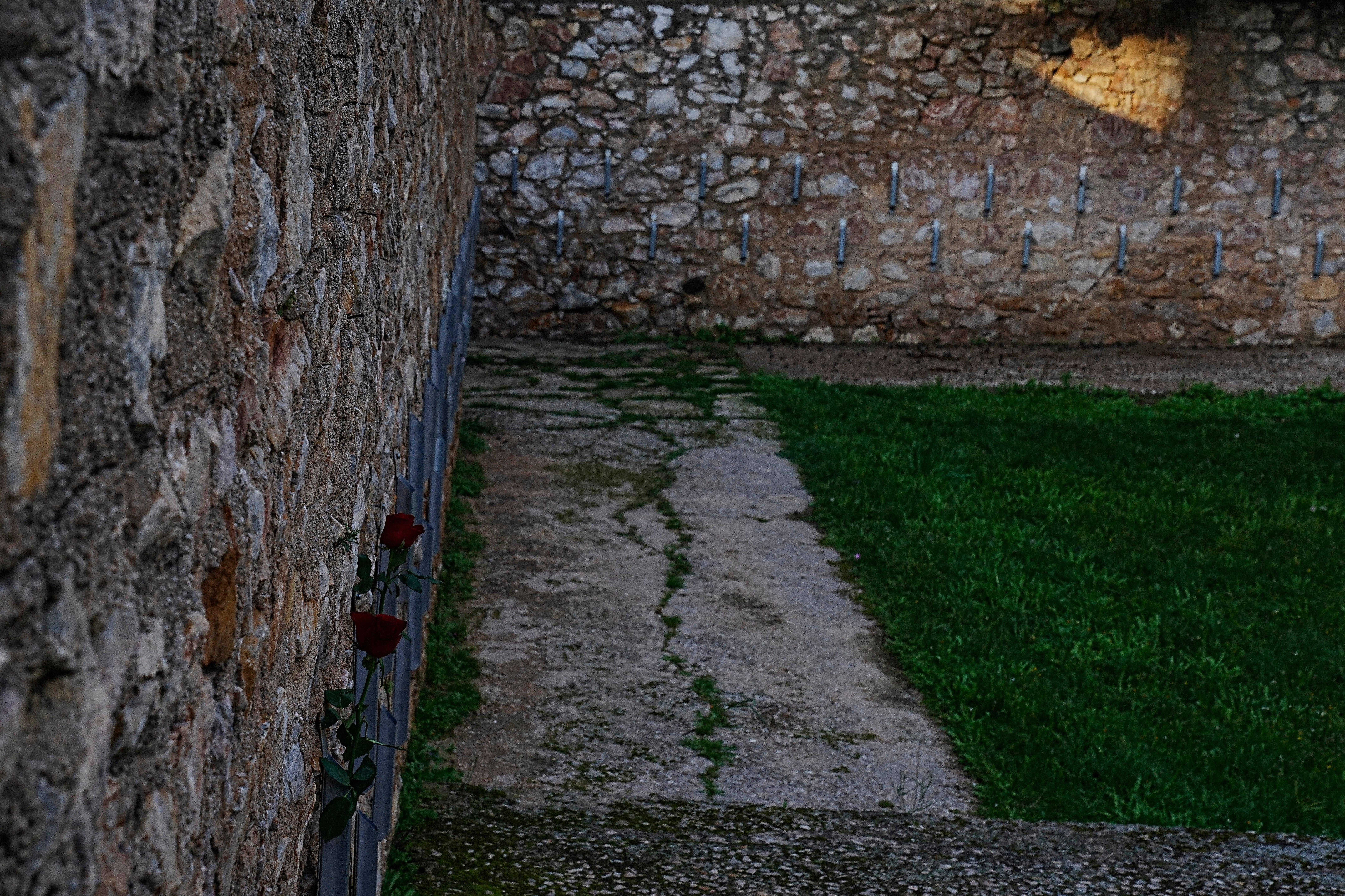 Two red roses are placed on the execution wall at the Kaisariani Shooting Range in the Kaisariani suburb of Athens