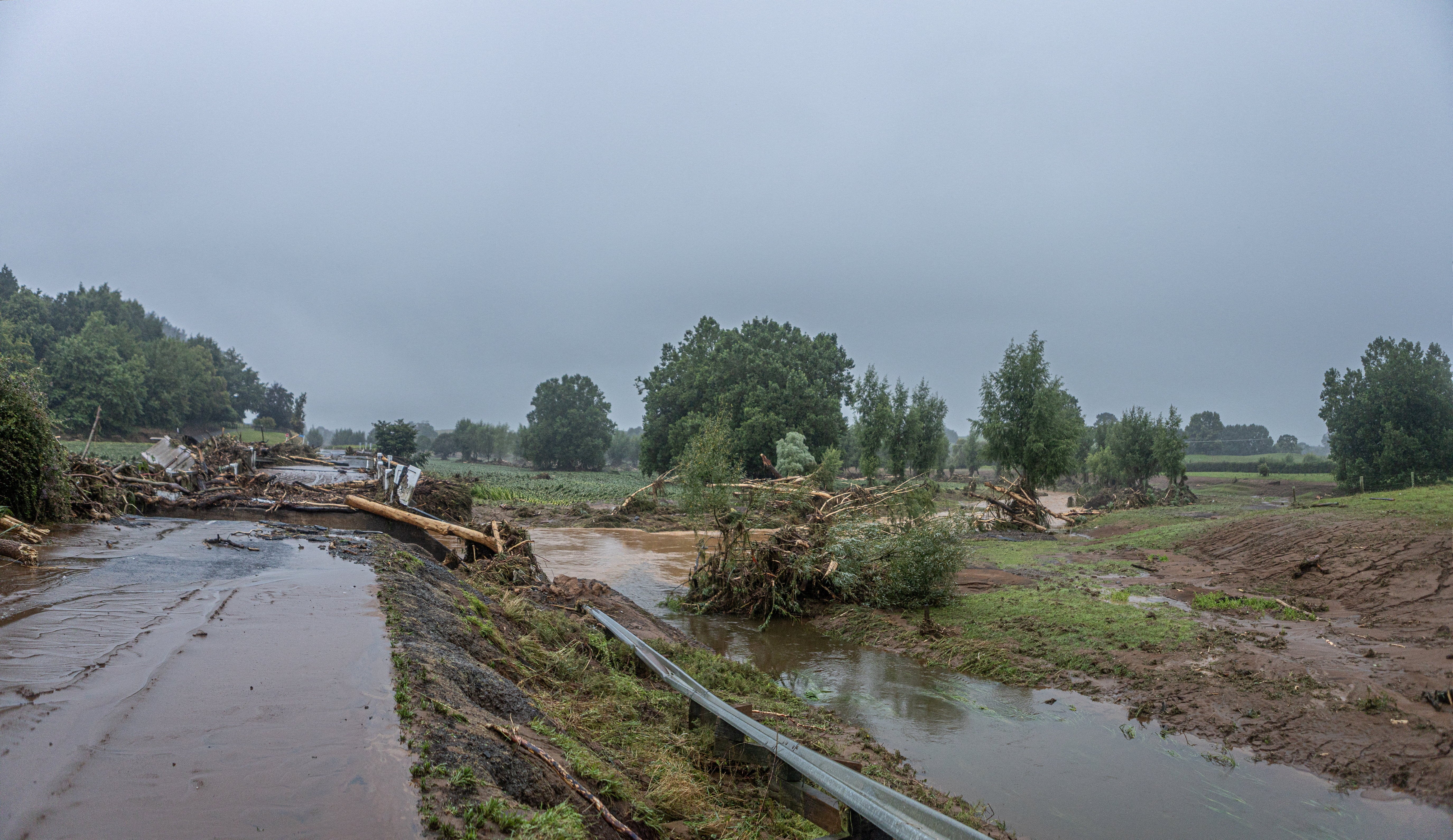 Trees lie amid the floodwaters after heavy rain and wild winds in Puketotara, Waikato region, New Zealand