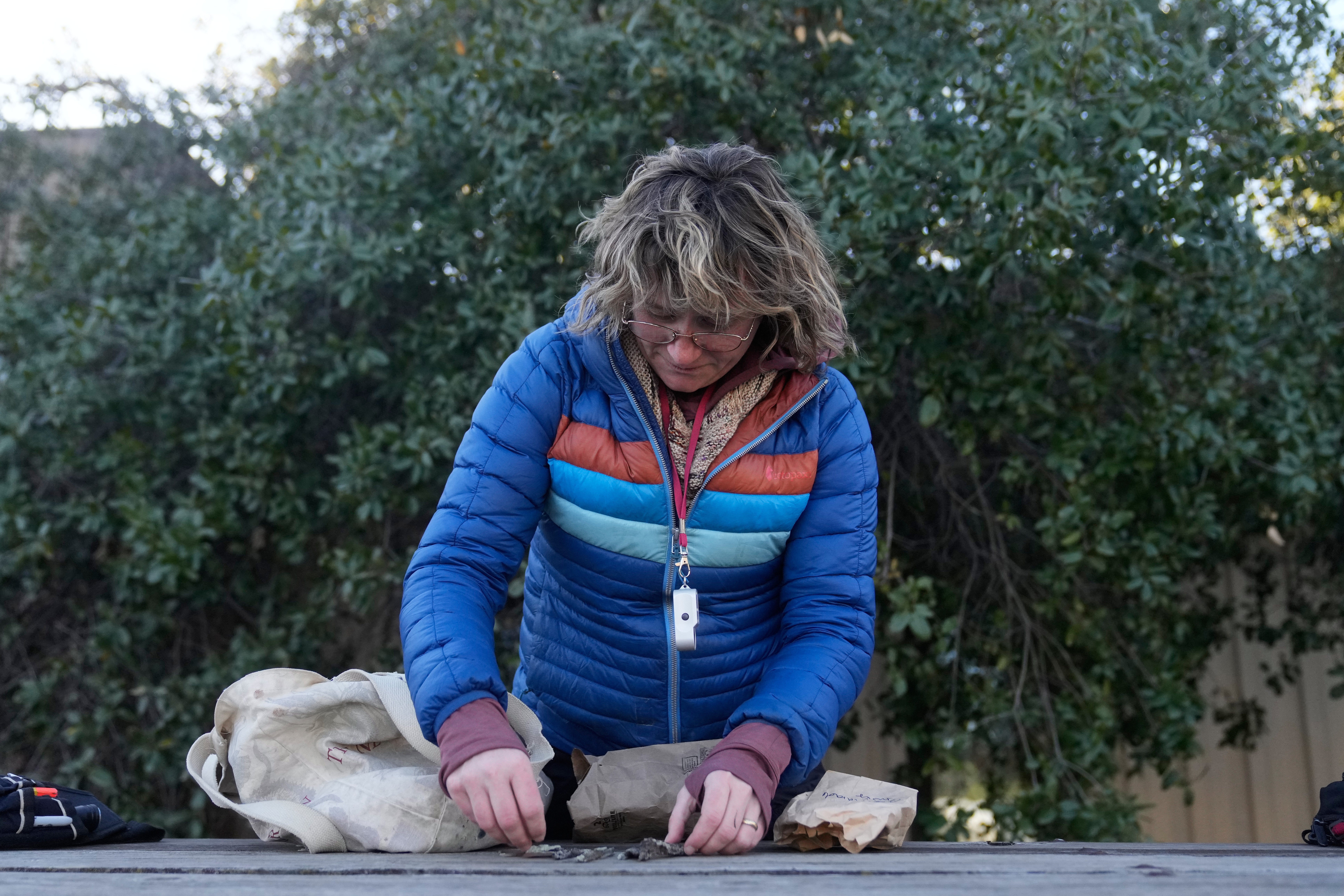 Jessica Allen, of the California Lichen Society, arrange lichen found during a CALS field trip