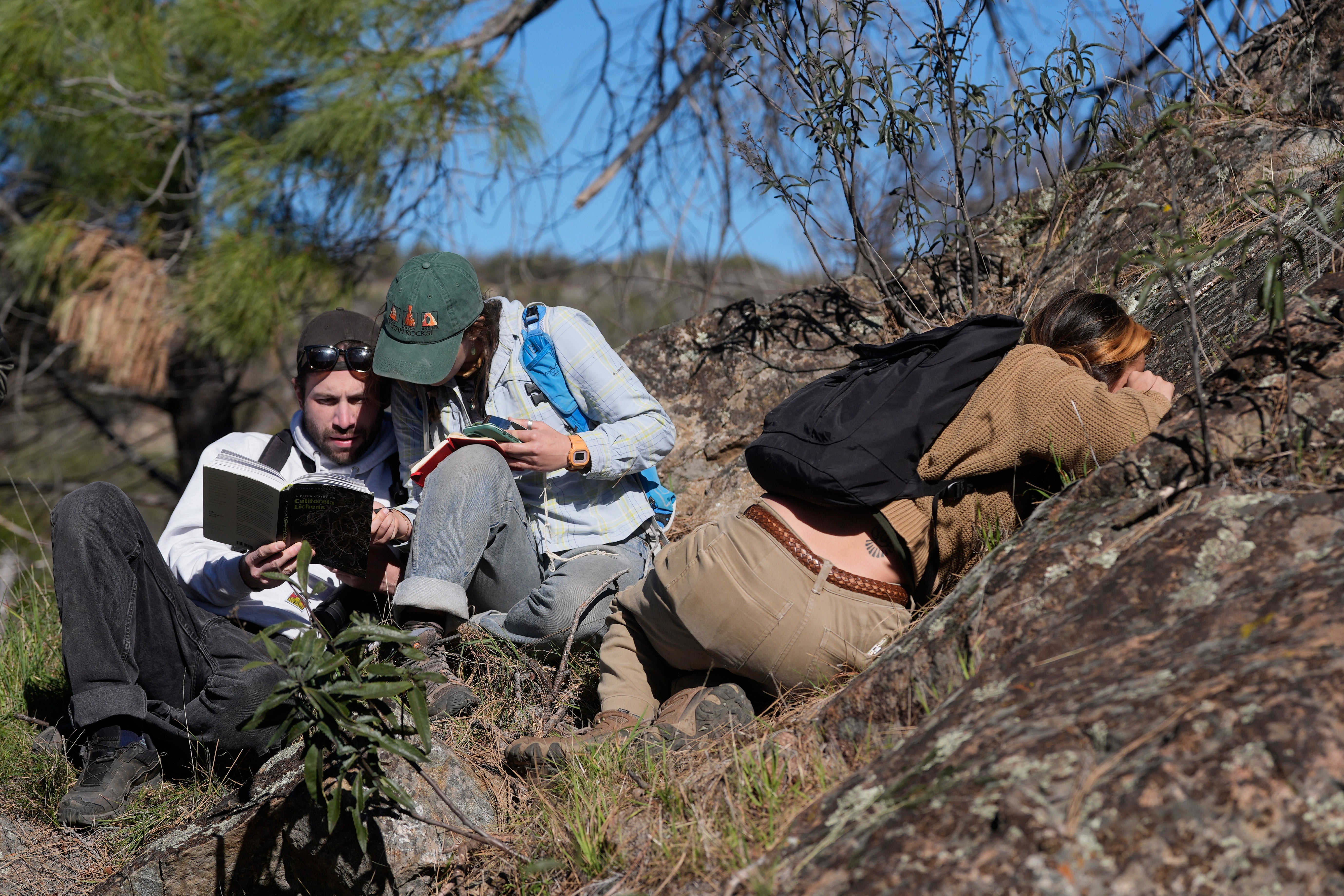 University of California, Berkeley students Daniel Clarke, left, Natalia Rovira and Sarah Campbell take part in a California Lichen Society field trip at the University of California