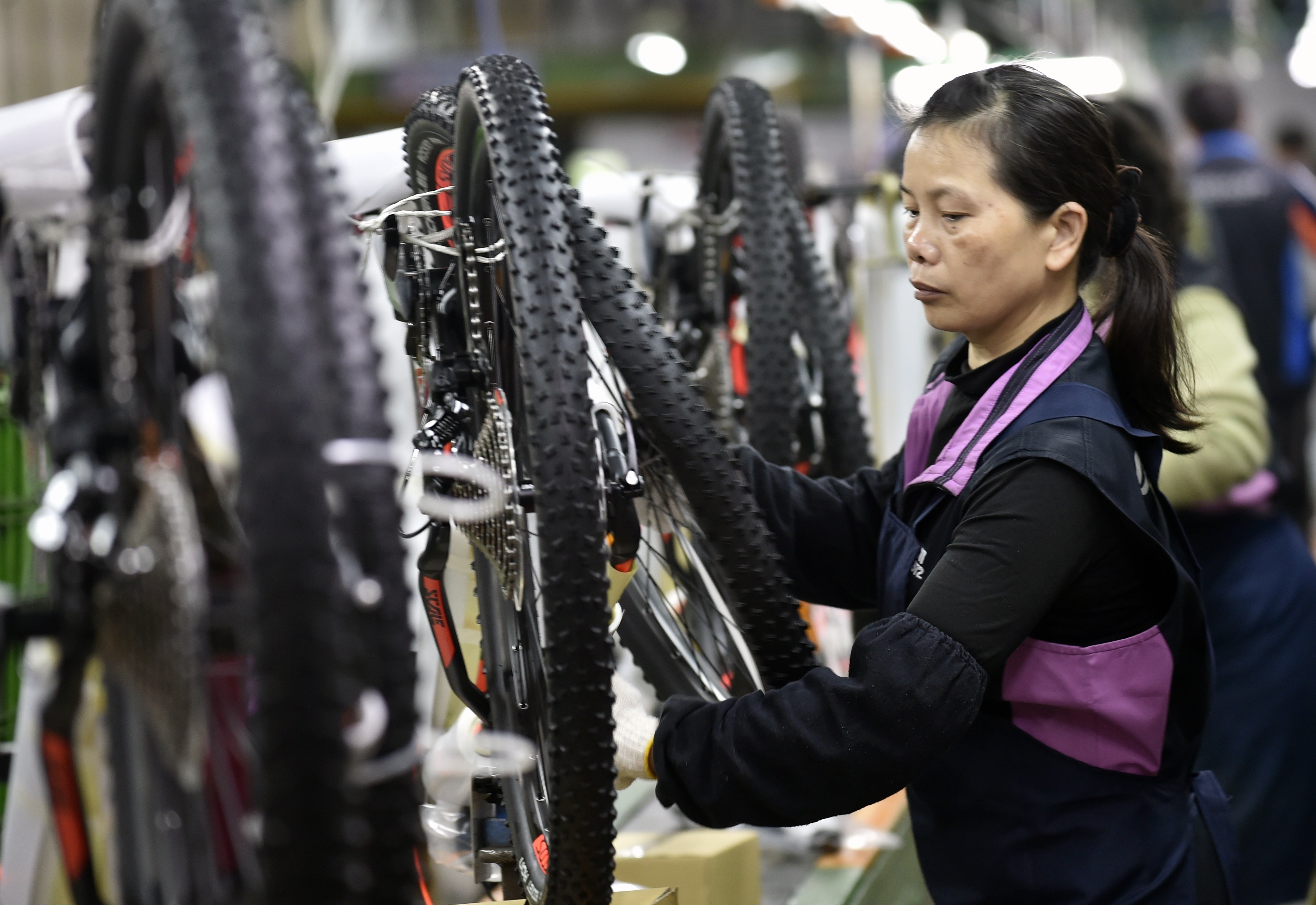 An employee of the world's biggest bicycle maker Giant Manufacturing Co. sorts bicycle parts at the factory in central Taichung