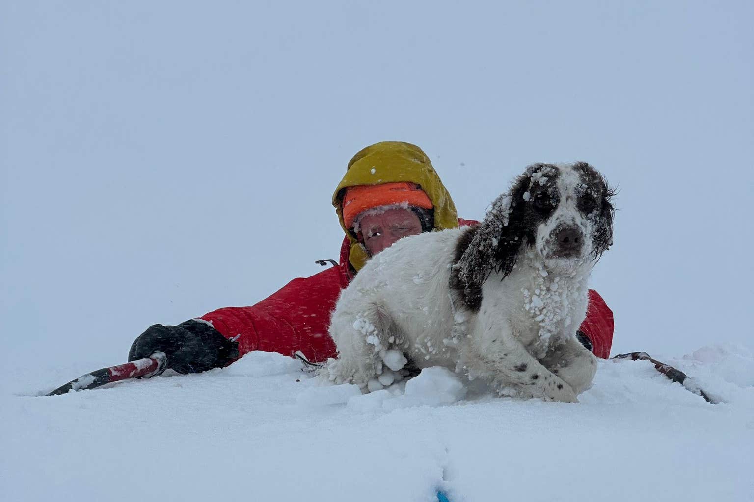 A rescue team were able to find Aggie (Dundonnell MRT)
