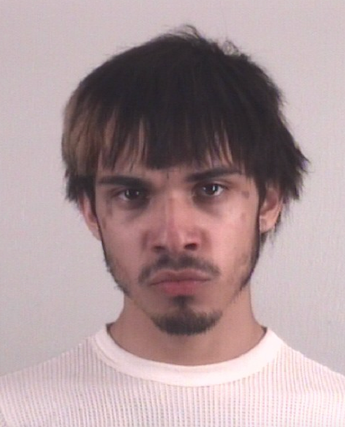 Raymond Isaac Carmona, 20, is being held on a $1 million bond for allegedly fatally stabbing his mother and kidnapping his nephew