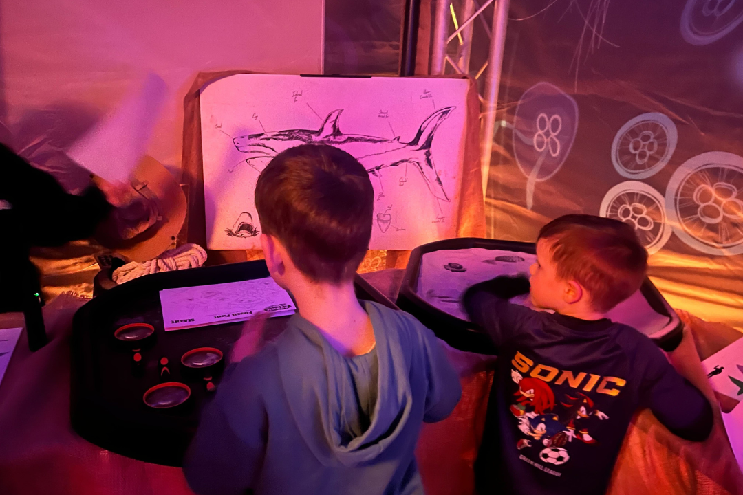 The Sea Life Centre’s central location makes for a great day out in Birmingham