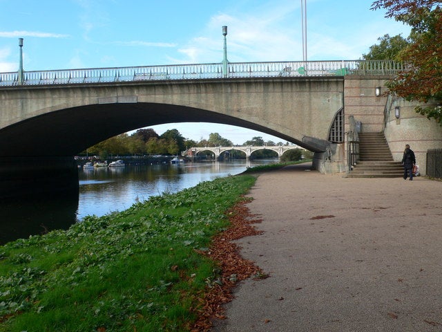 The animals were said to be ‘in shock’ and their temperature had dropped below 33C