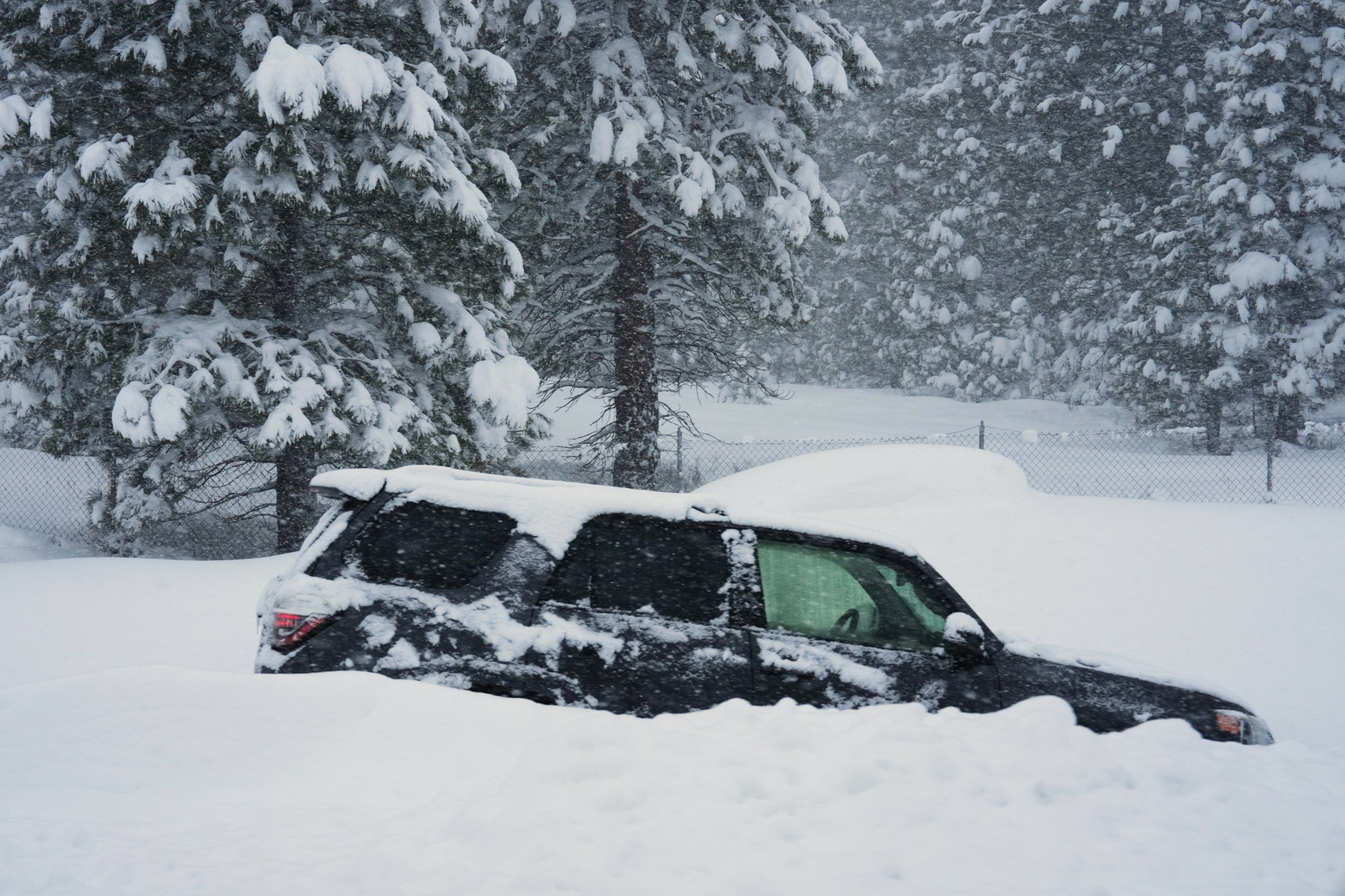 Vehicles left buried by the snow in Truckee, California
