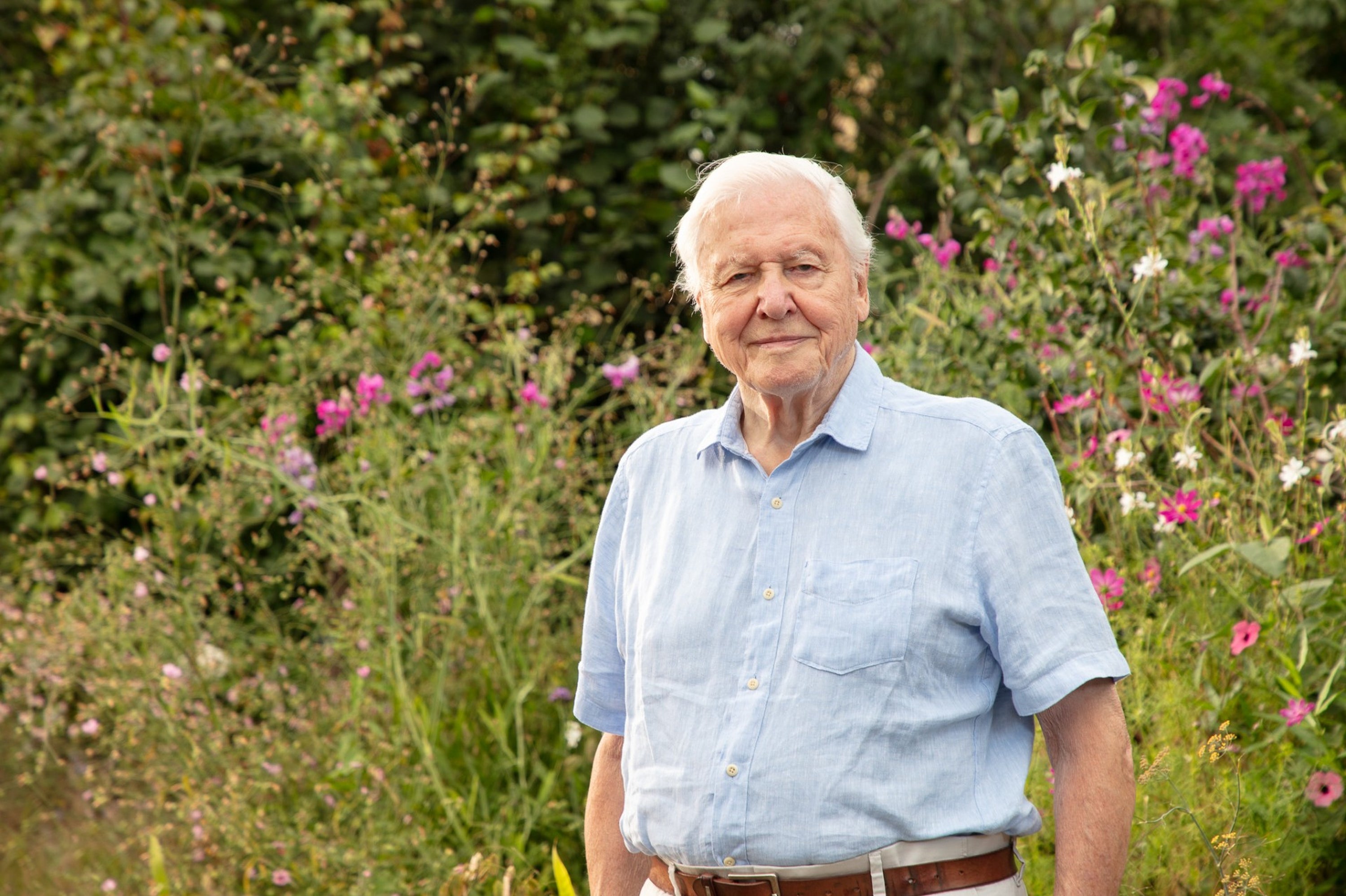 <p>Secret Garden, one of three new shows celebrating Sir David Attenborough's 100th birthday</p>