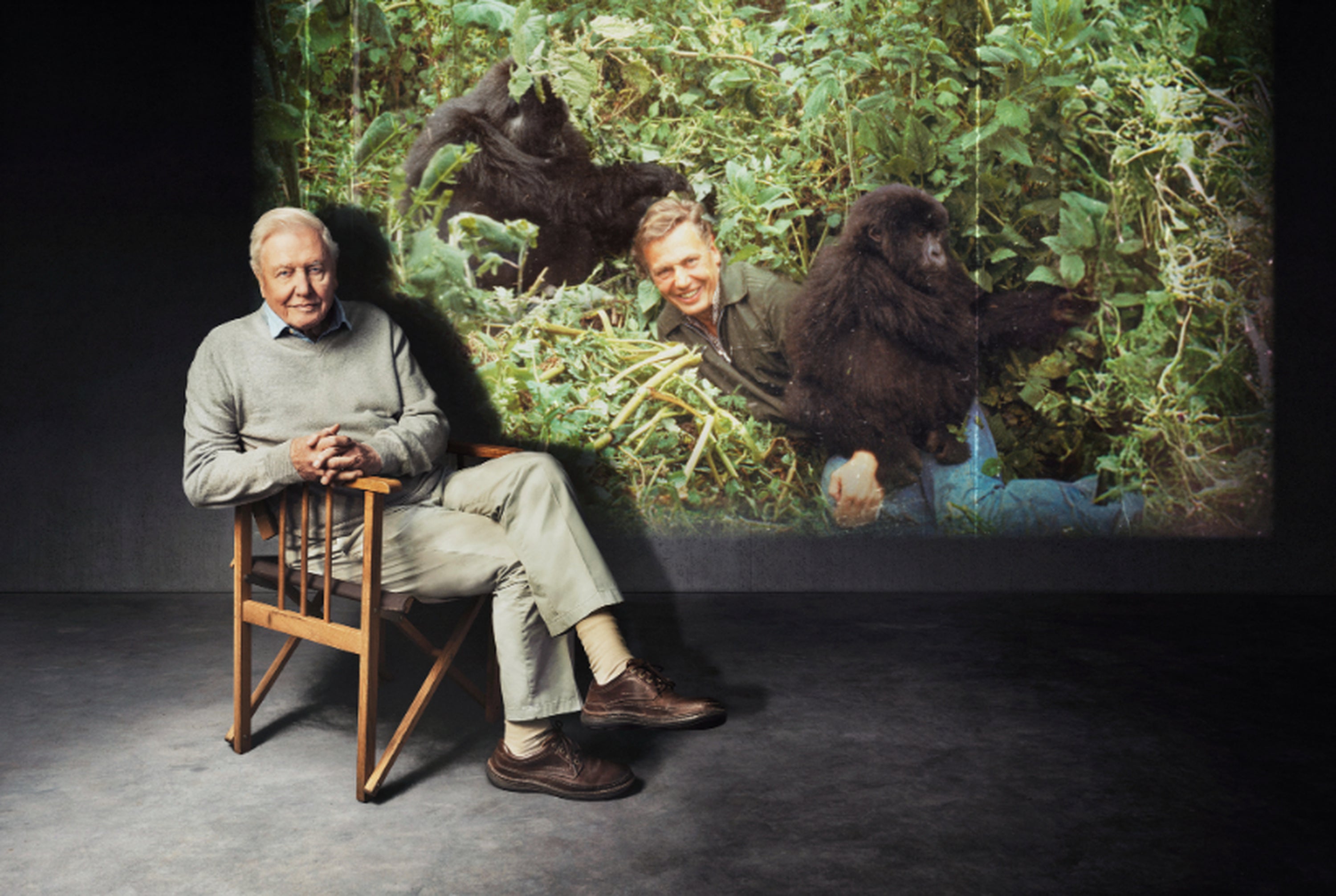 'Making Life on Earth: Attenborough's Greatest Adventure', one of three new shows celebrating Sir David Attenborough's 100th birthday