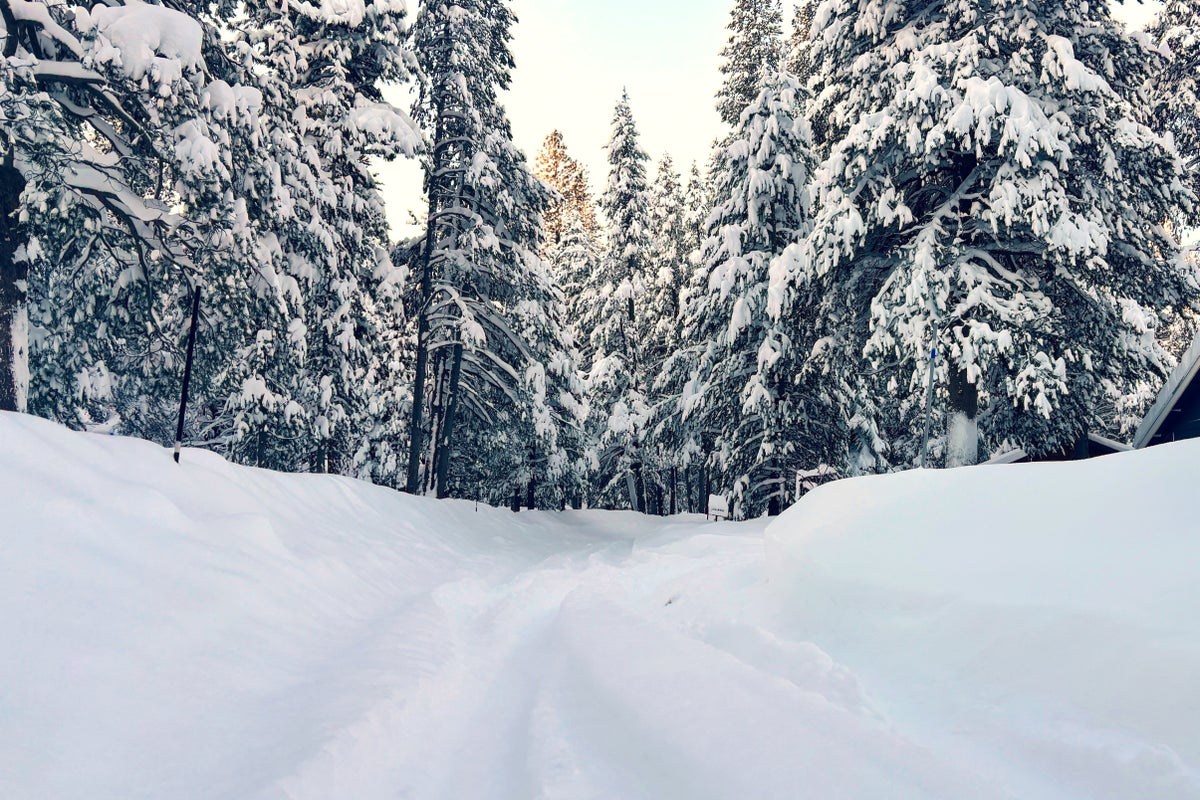 California avalanche site where eight skiers died had been closed for a century before tragedy