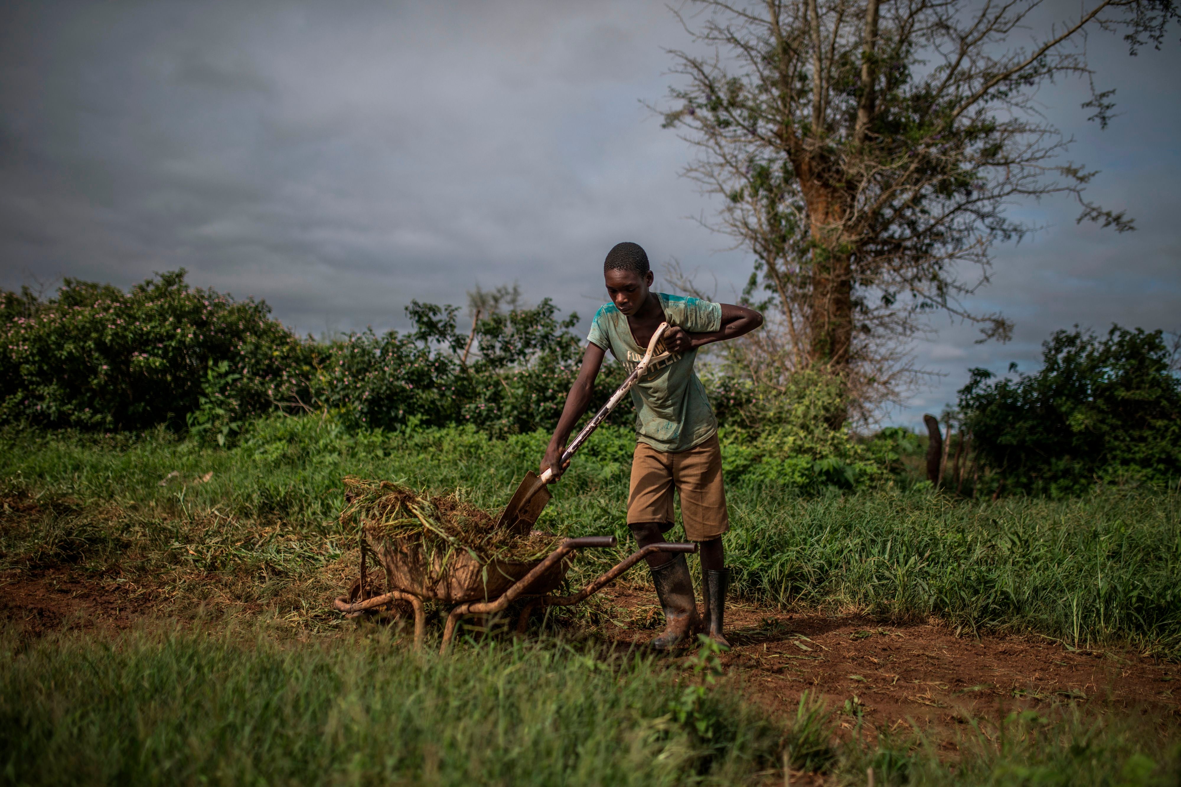 Families have been left struggling thanks to drought