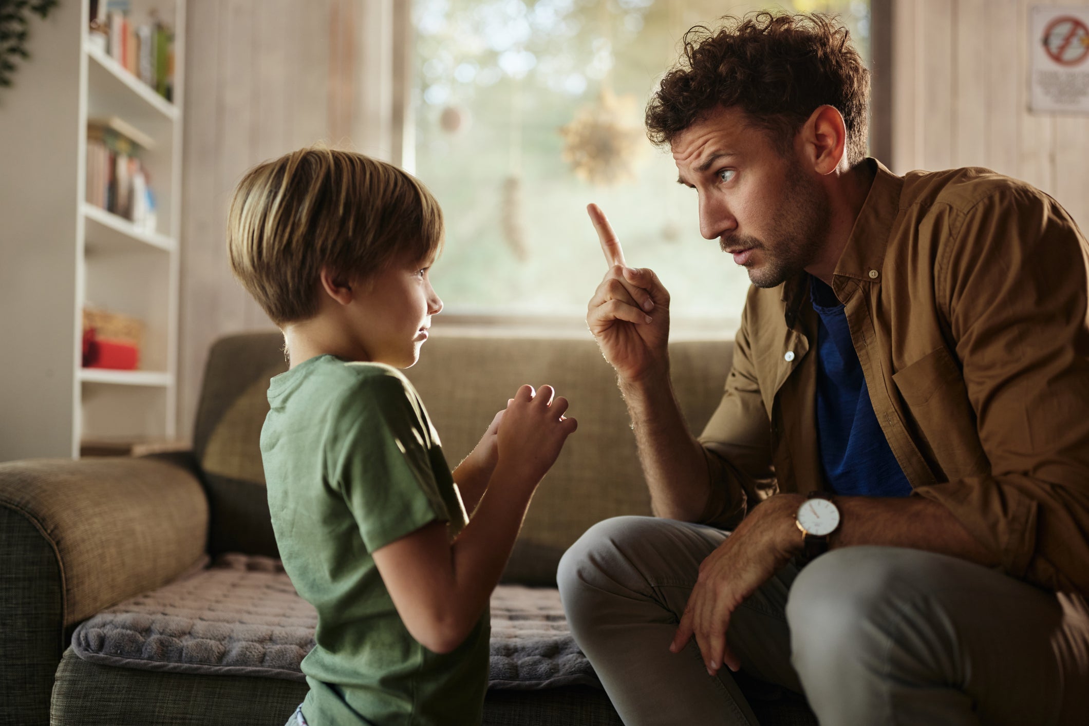 A specific brain region, dubbed a "parenting hub", has been linked to the diverse paternal behaviours of male mice.