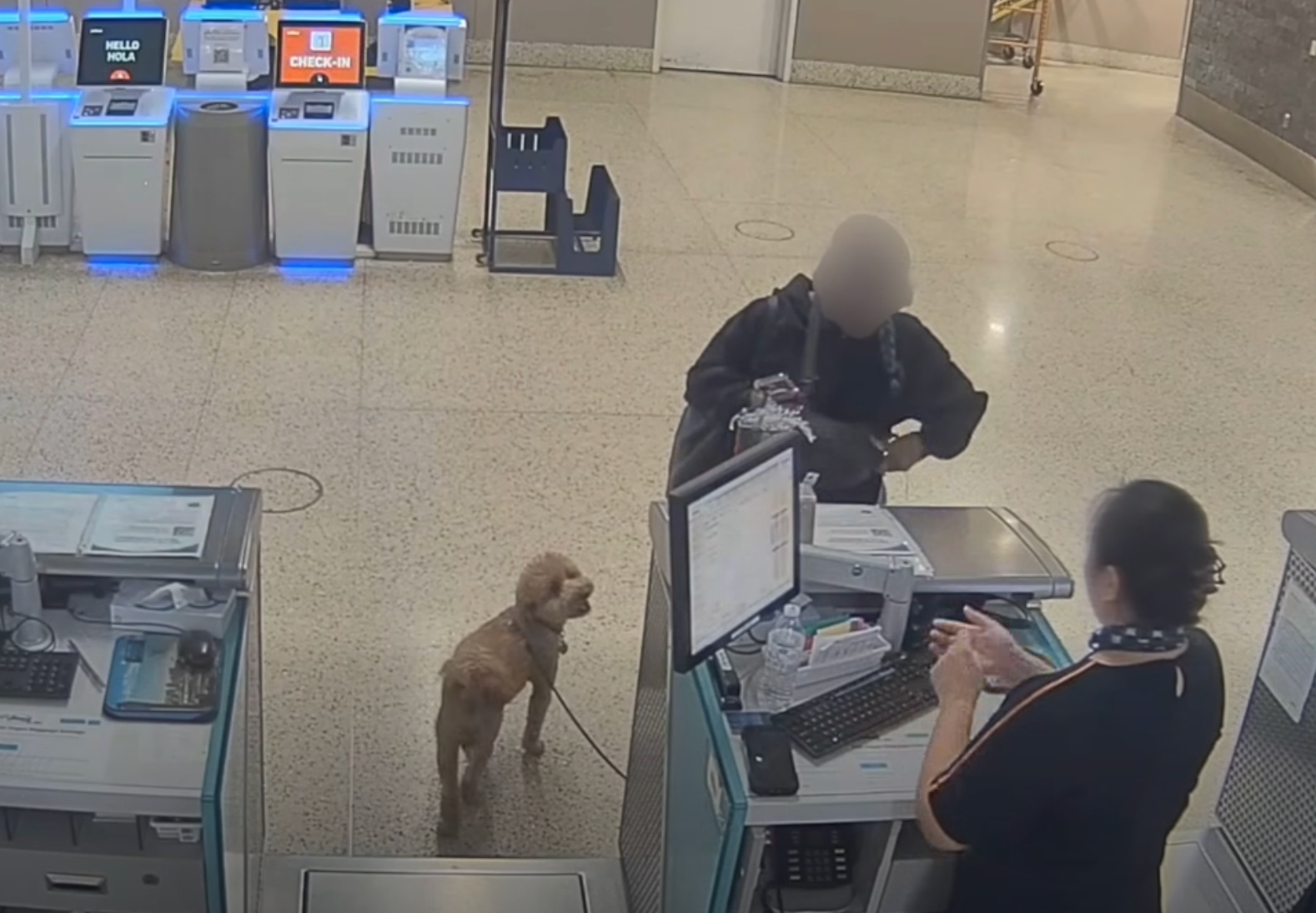 The dog appears in good spirits as his owner tries to check in for her flight – she abandoned him there moments later.