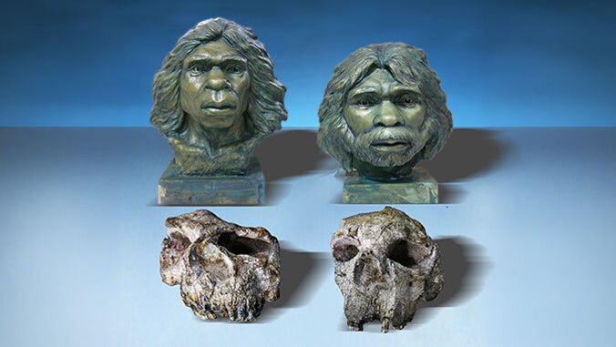 Reconstruction of the Yunxian Homo erectus