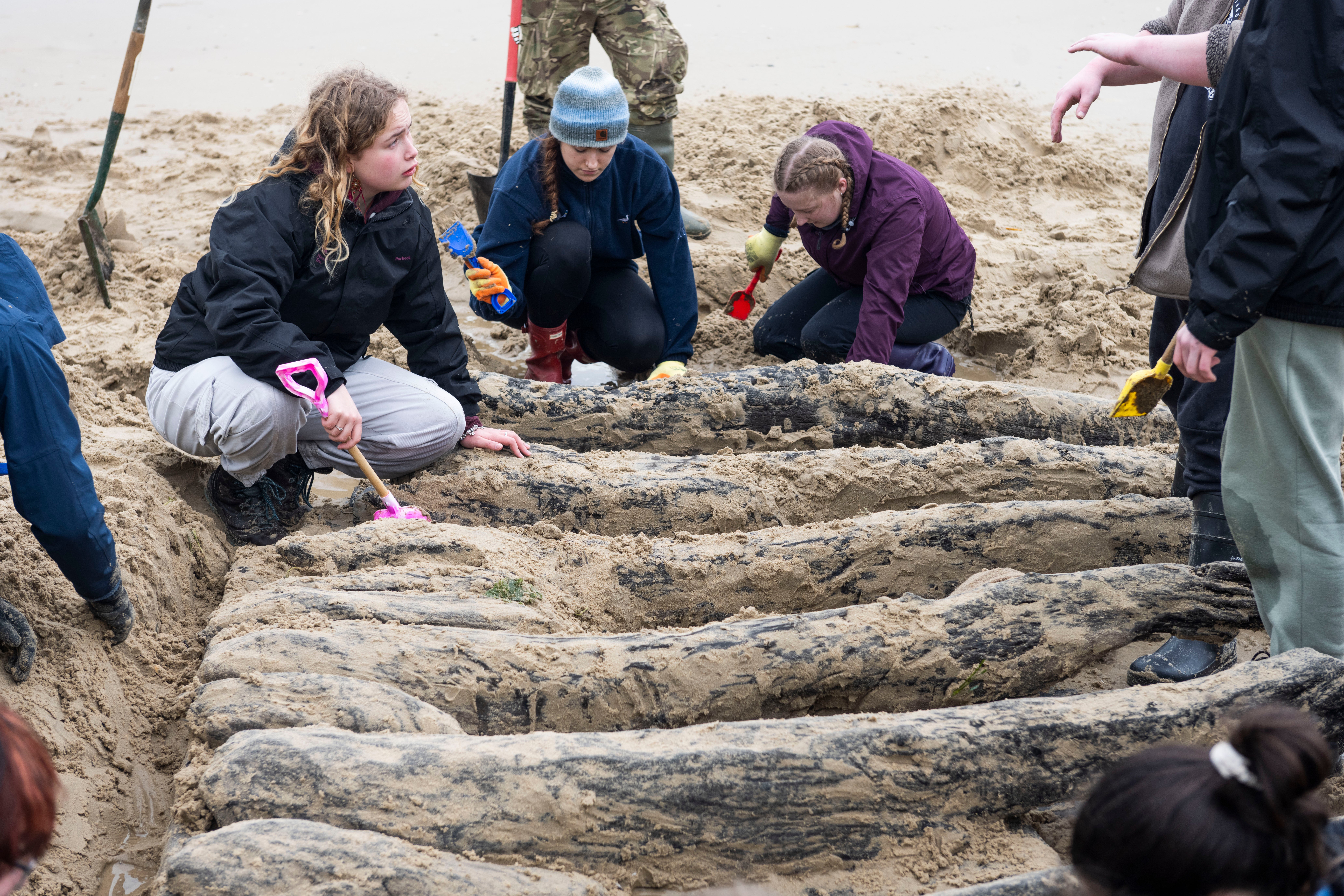 Archaeologists have successfully excavated a section of a 17th century shipwreck that was uncovered by winter storms on the edge of a nudist beach
