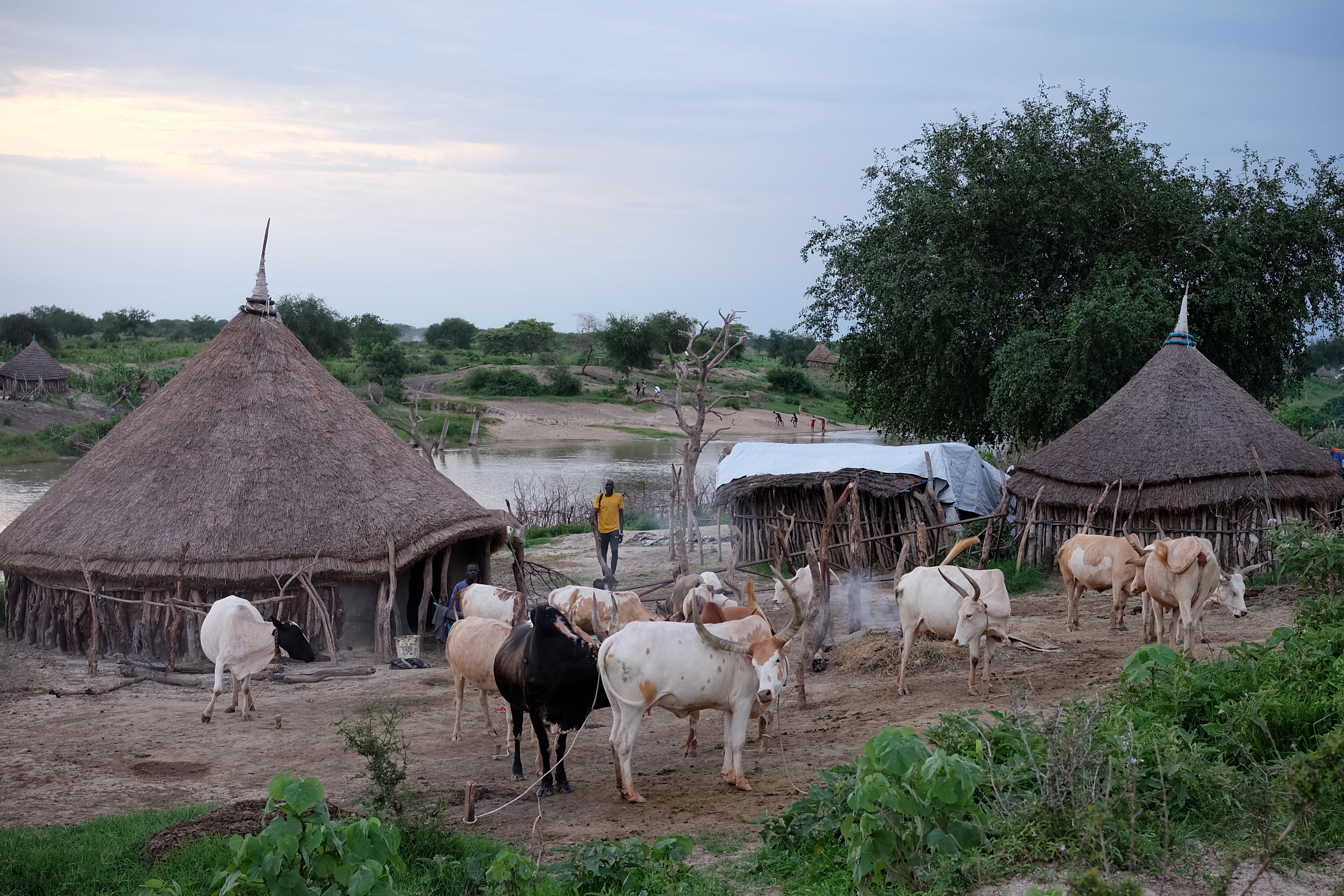 South Sudan Killings