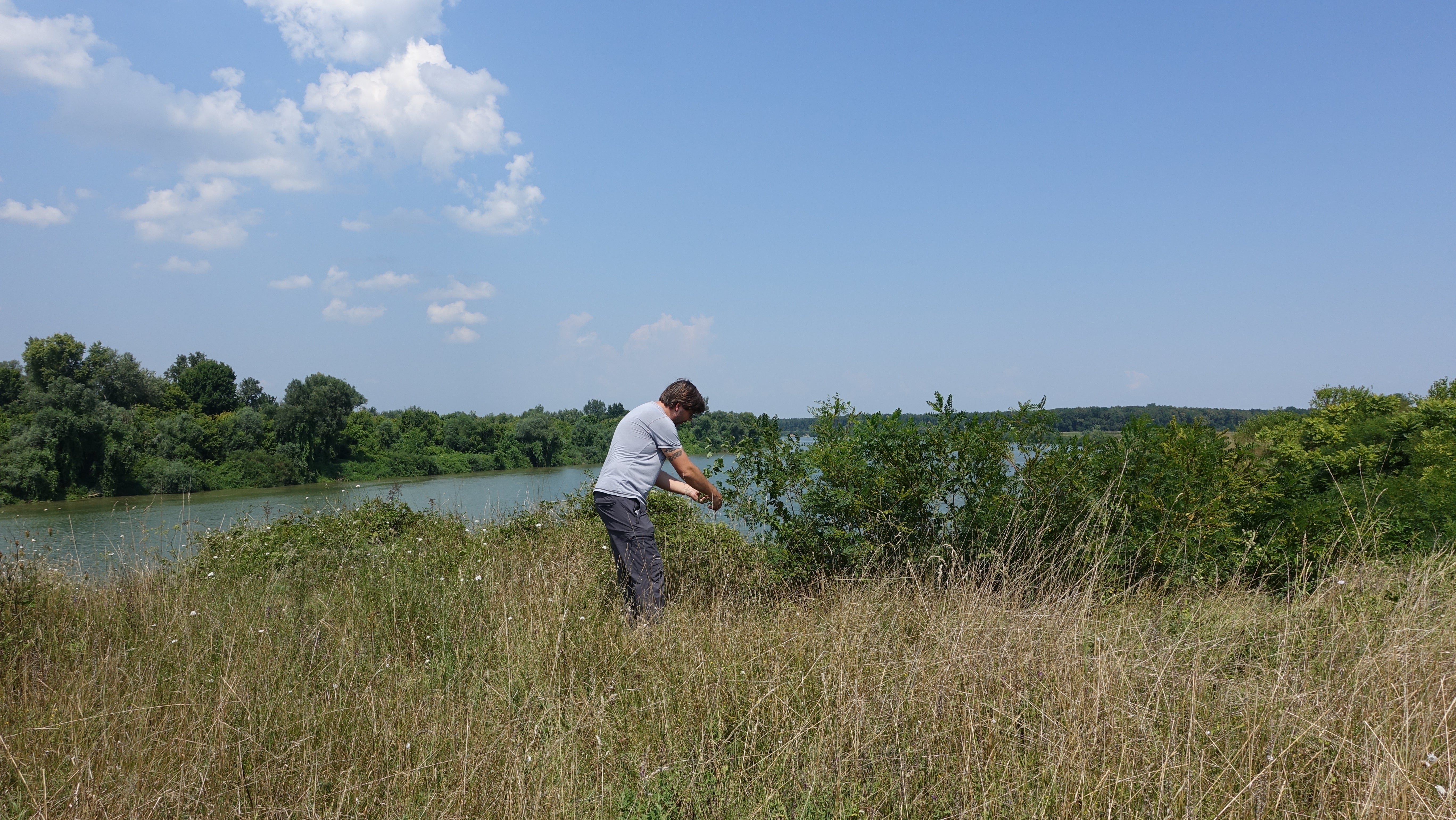 The leader of the archaeological investigation, Dr Barry Malloy, taking samples of vegetation in order to determine the site’s isotopic signature