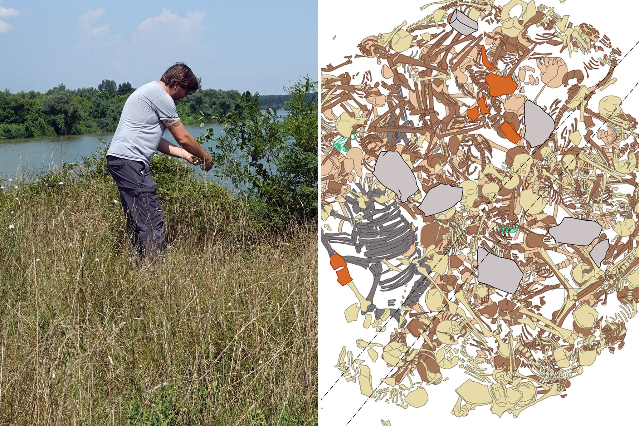 Bid to solve prehistoric mystery of mass grave filled with 77 human bodies and one cow