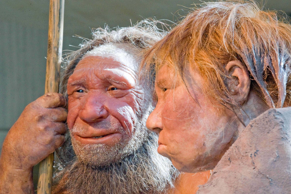 Scientists have had 16.9m years to explain why we kiss – I think I can tell them