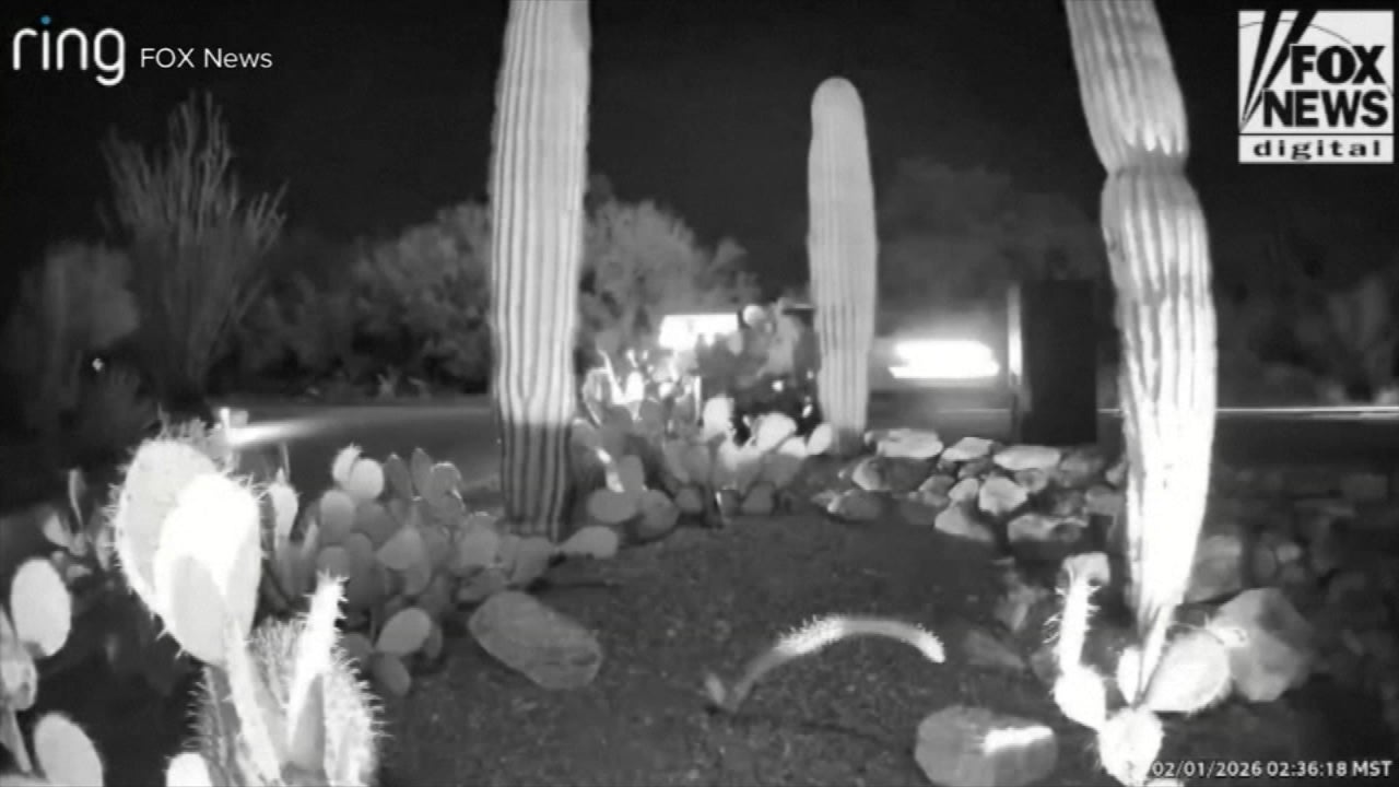 Snimka Ring zvona obližnjeg susjeda objavljena u četvrtak prikazuje automobile koji su se vozili u blizini kuće Nancy Guthrie oko 2:30 ujutro, što se podudara s navodnim vremenom njezine otmice