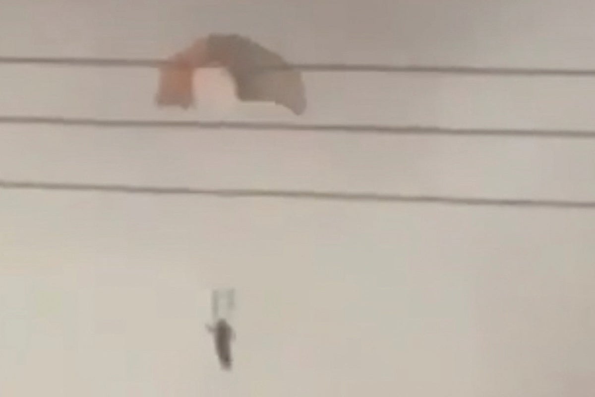 ‘Several’ US fighter jets shot down in ‘friendly fire’ incident