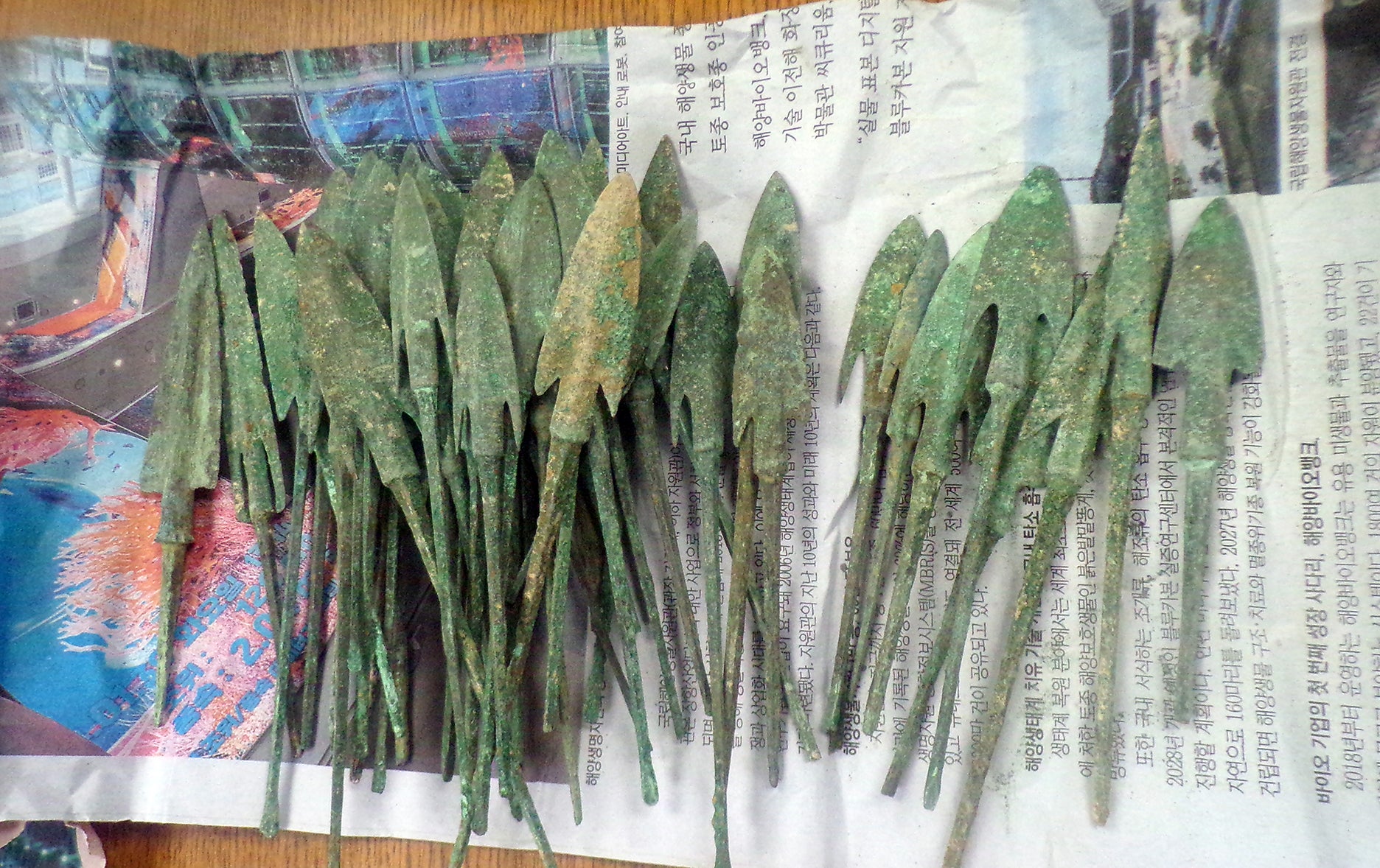 50 copper-alloy arrowheads were among nan seized loot