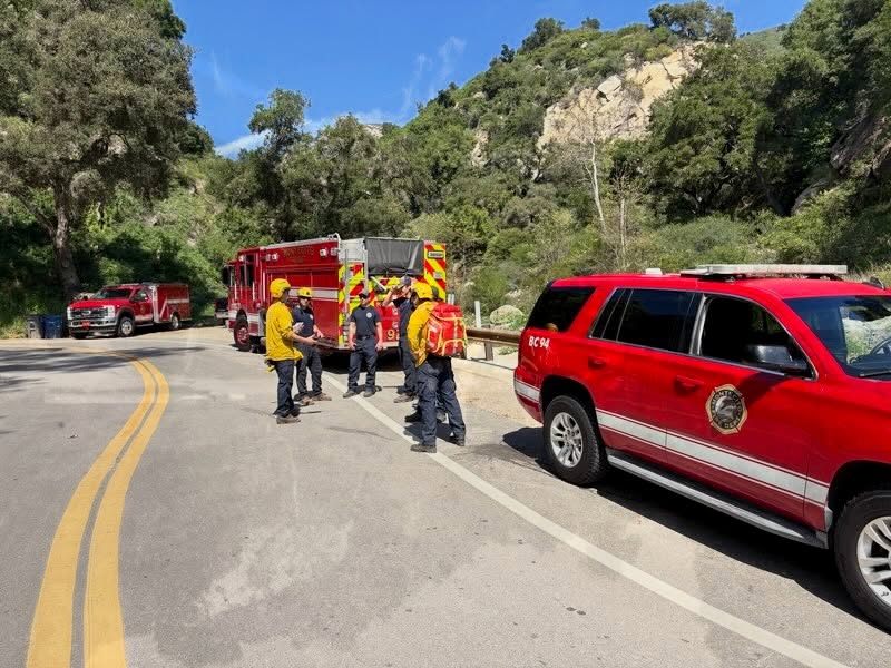 A California hiker was airlifted to nan infirmary aft being stung by occurrence ants connected a trail