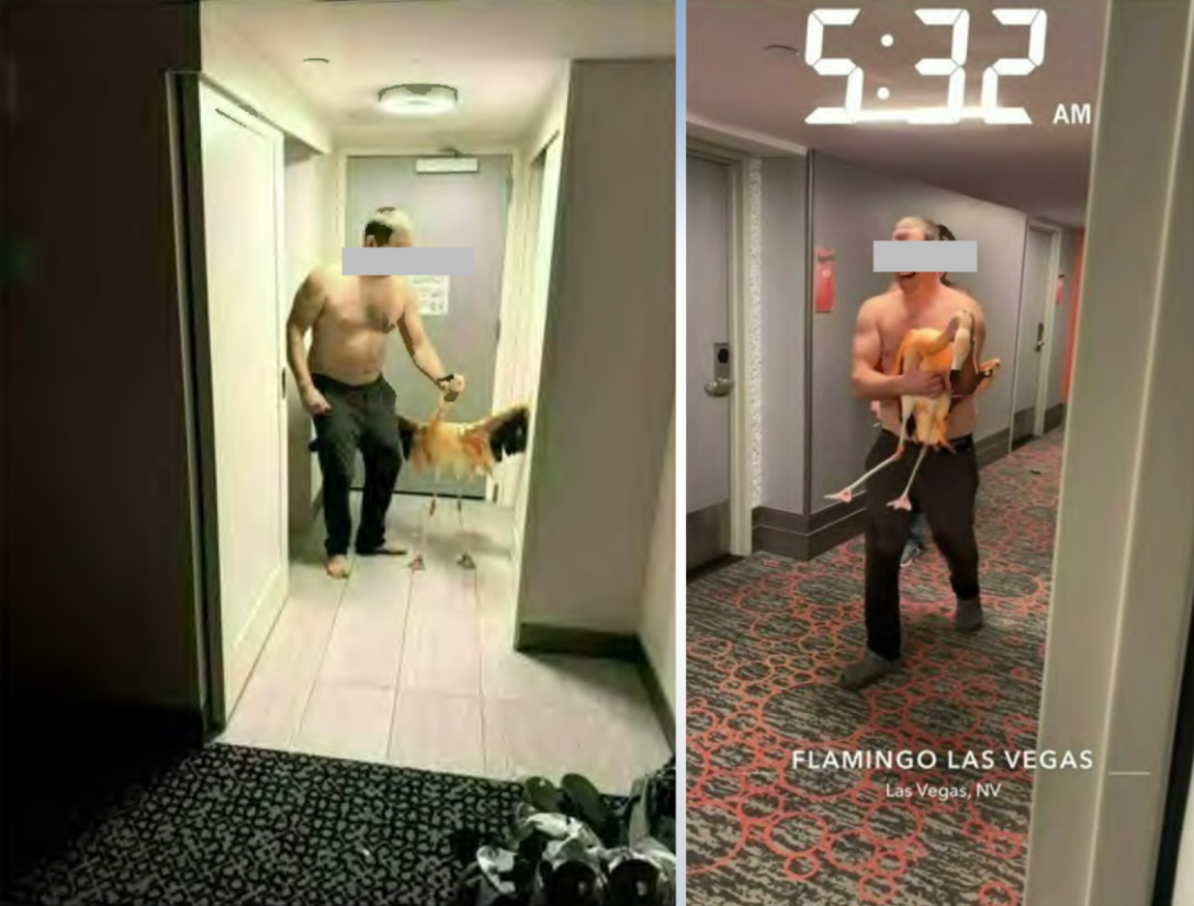 Canadian tourist accused of stealing flamingo from Las Vegas hotel told to remain in city but to stay off the Strip