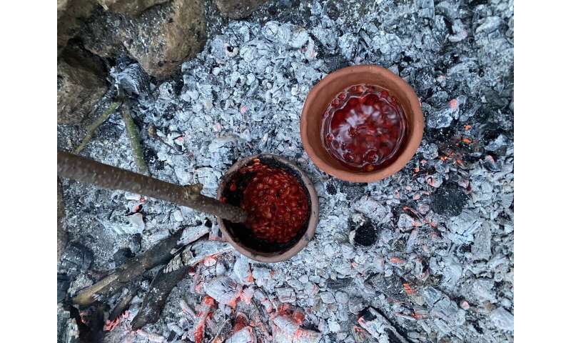 Pottery remains reveal secrets of ancient Europeans’ surprising diet