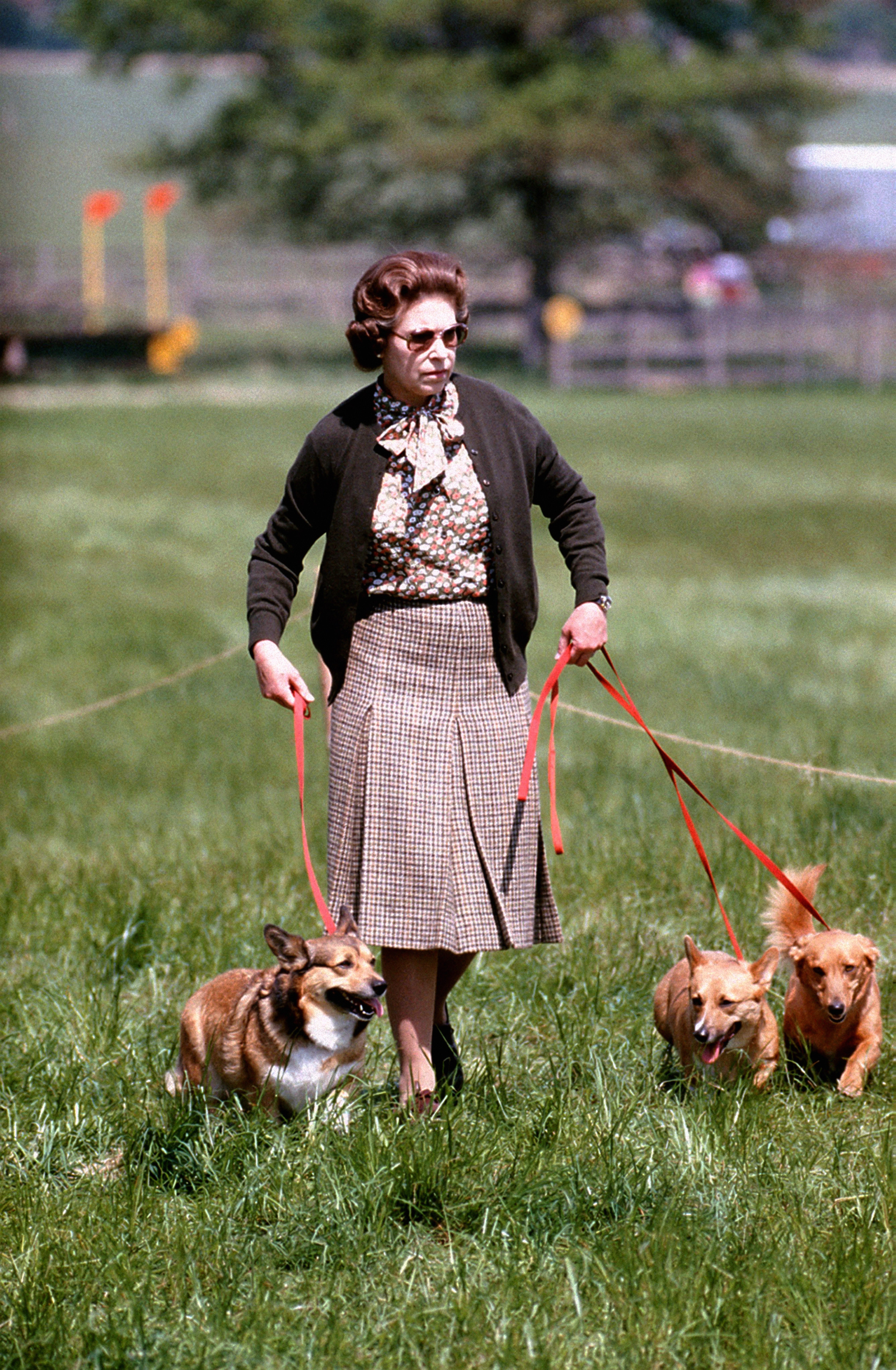Queen Elizabeth II with some of her corgis walking the Cross Country course during the second day of the Windsor Horse Trials. in 1980 (PA Archive/PA)
