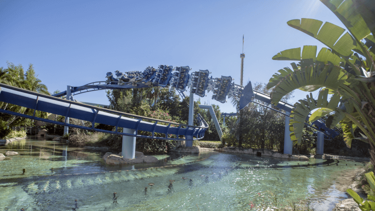 6 hospitalized after incident on SeaWorld’s Manta roller coaster, officials say