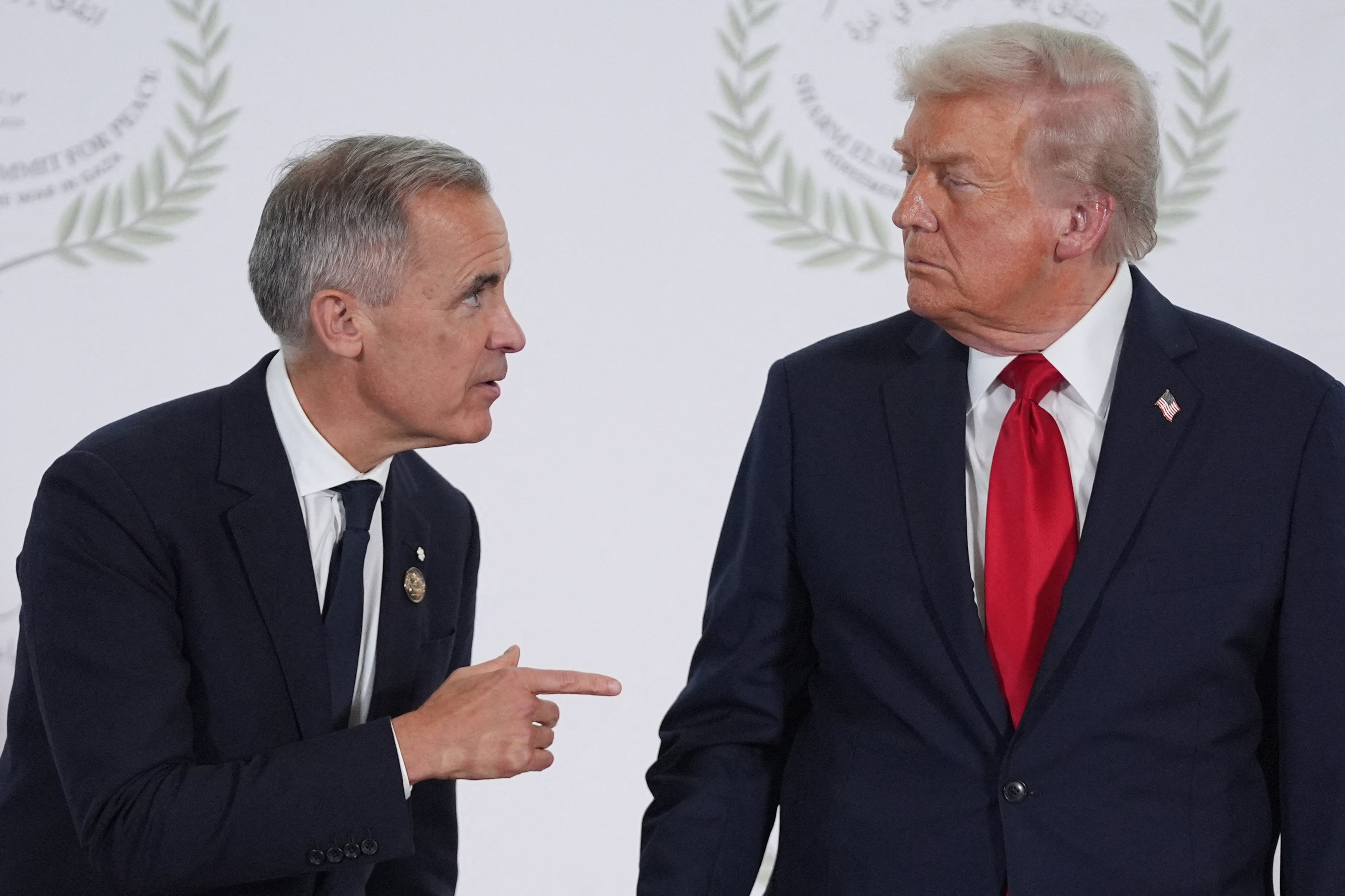 Canadian Prime Minister Mark Carney announced a multi-billion-dollar scheme to build caller subject bases successful nan Arctic pursuing threats from President Donald Trump to make it America’s 51st state, and his desire to return power of Greenland (file image)