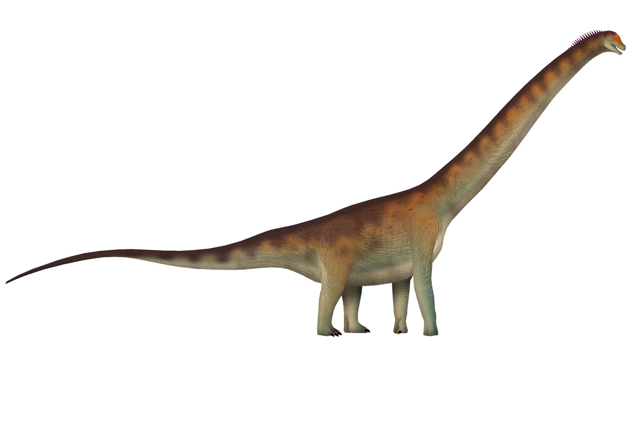 Scientists discover giant dinosaur species which was the length of two buses
