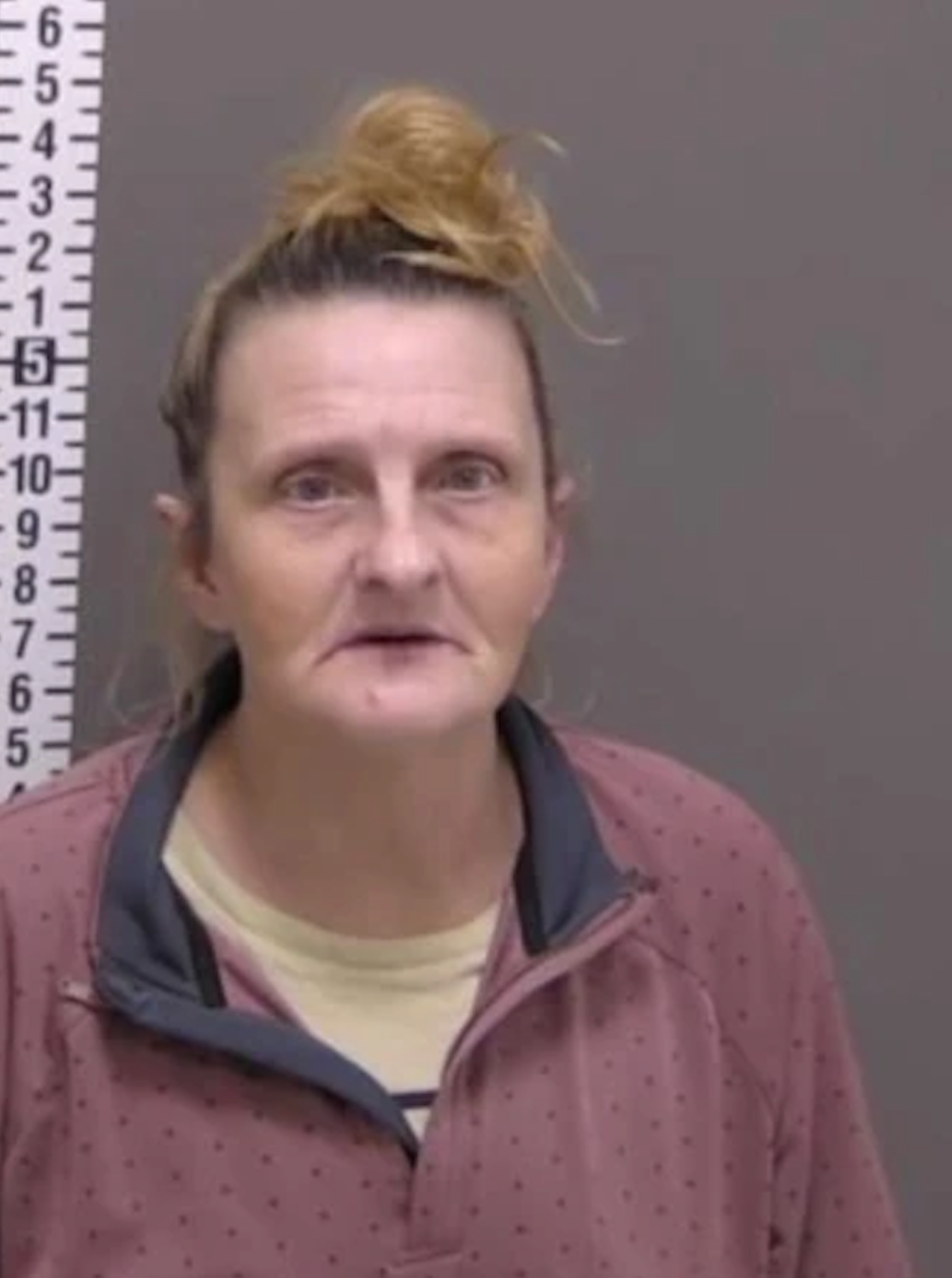 Angela Lipps, 50, was arrested astatine her Tennessee location and extradited to Fargo to look criminal charges tied to a crime successful authorities she had ne'er been to