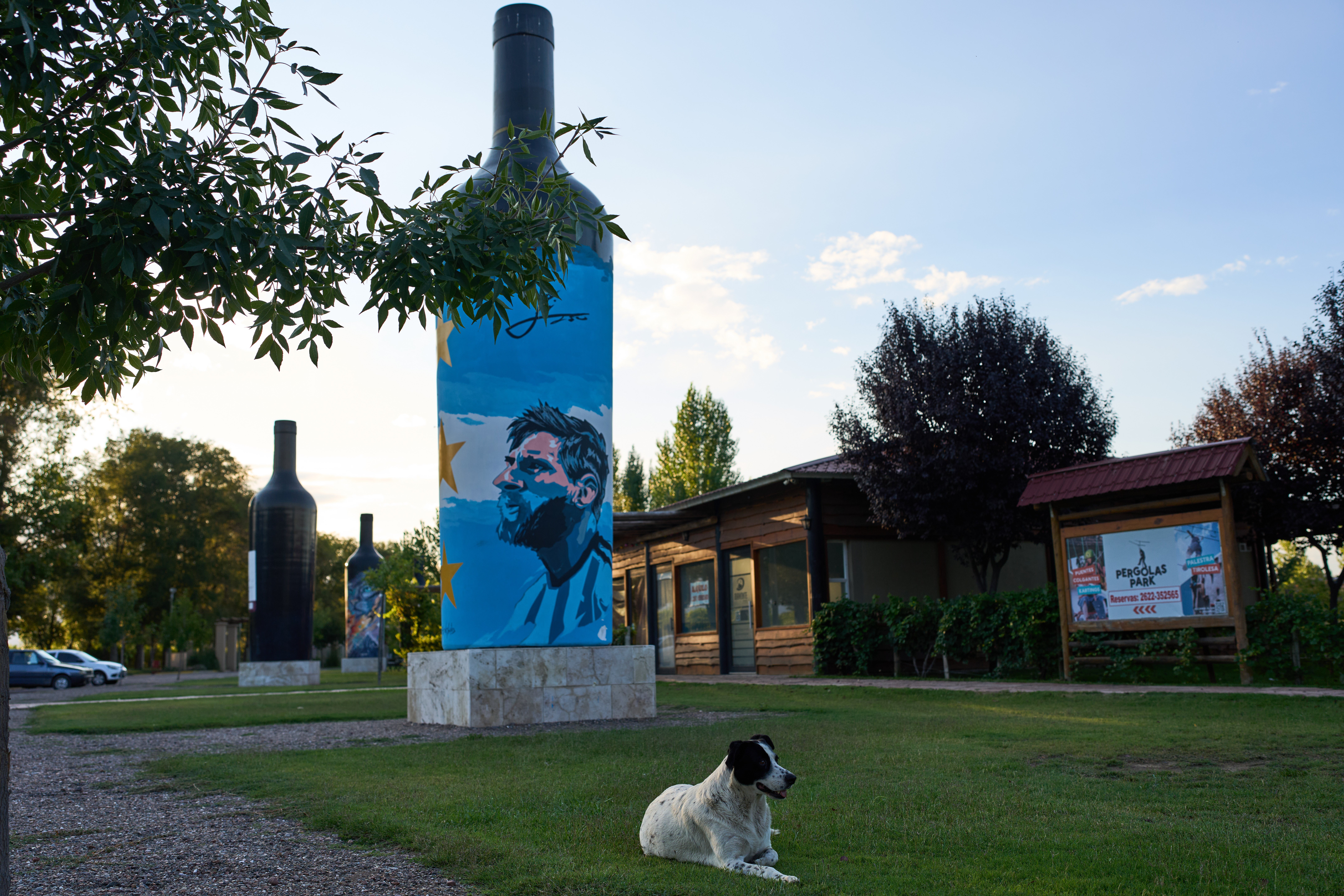 Fears for the future of Argentinas wine industry as figures hit a record low