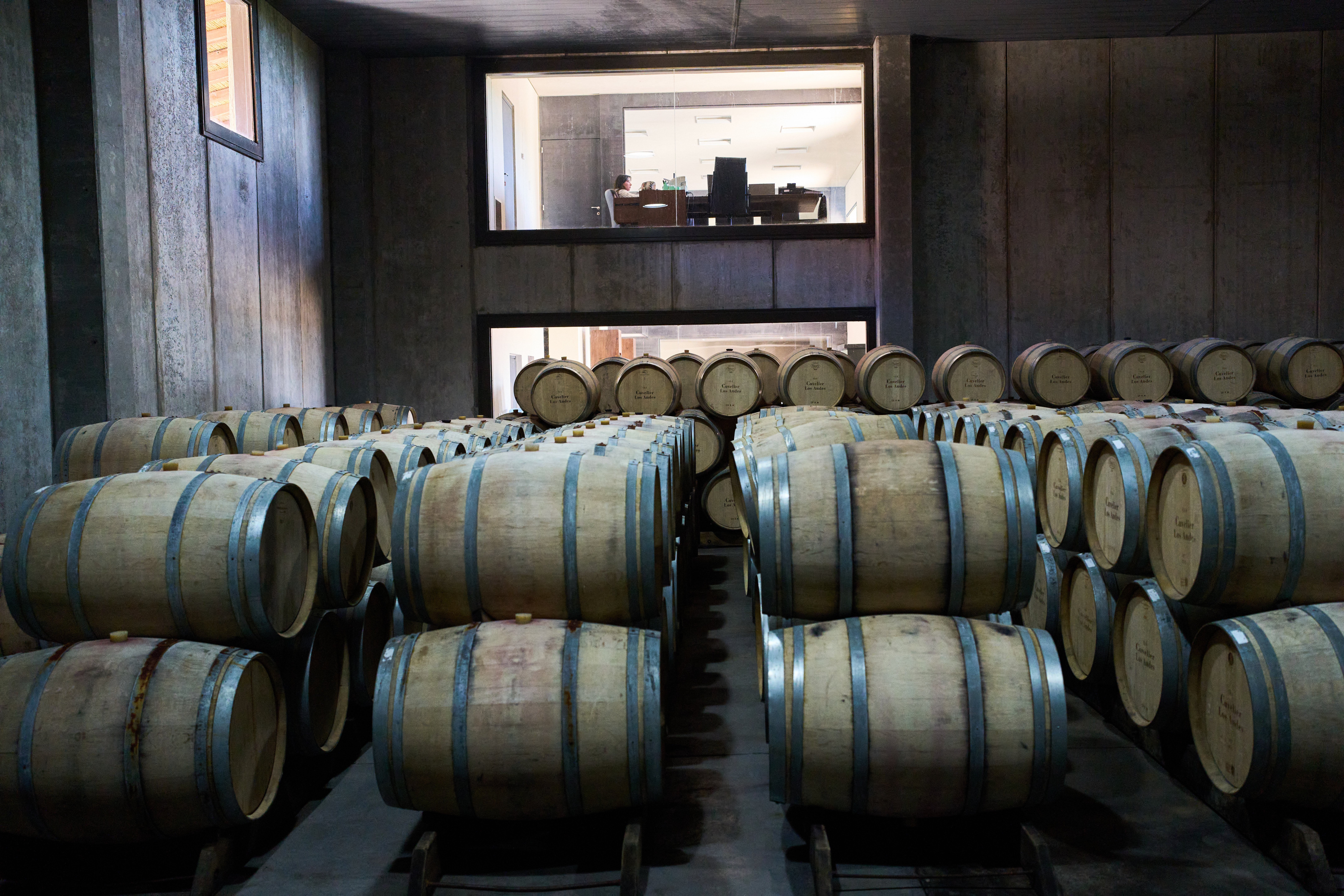 An employee works in an office above the barrel room at the Cuvelier Los Andes winery in Vista Flores, Mendoza province, Argentina, Monday, March 9, 2026. (AP Photo/Rodrigo Abd)