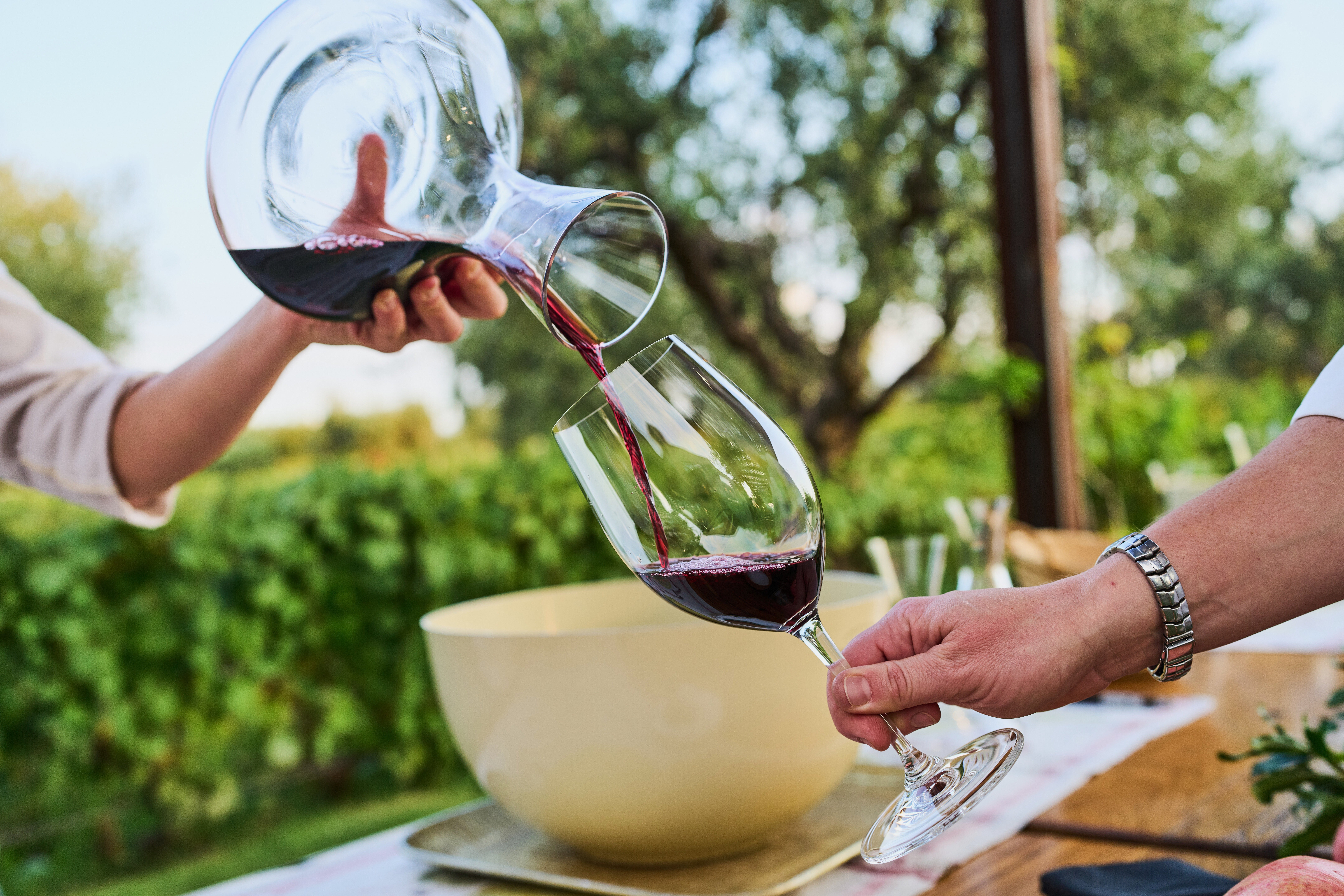 A worker serves red wine to tourists during a tasting at Bodega Lagarde in Mendoza, Argentina, Thursday, March 12, 2026. (AP Photo/Rodrigo Abd)