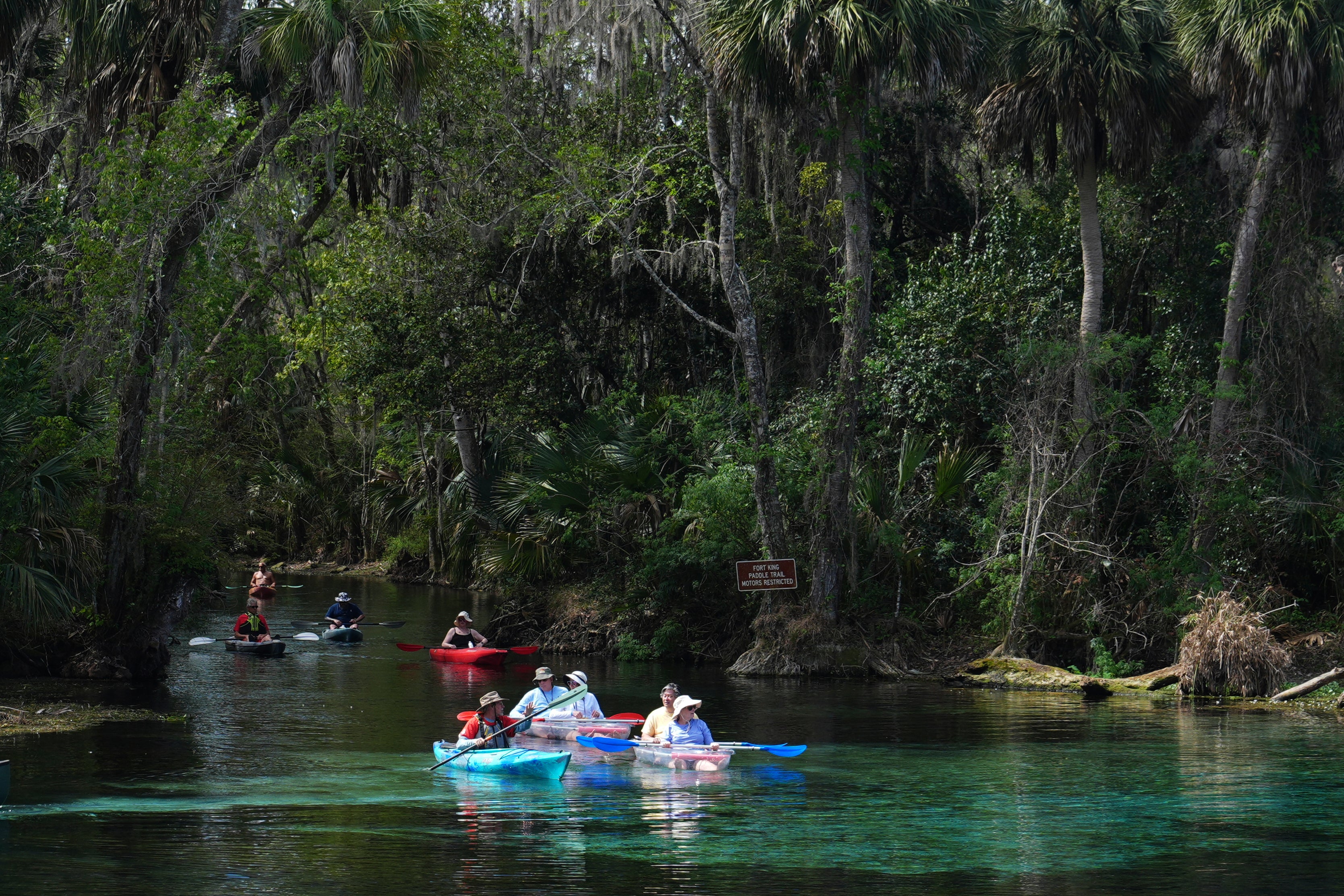 A guideline leads kayakers connected a circuit of Silver Springs