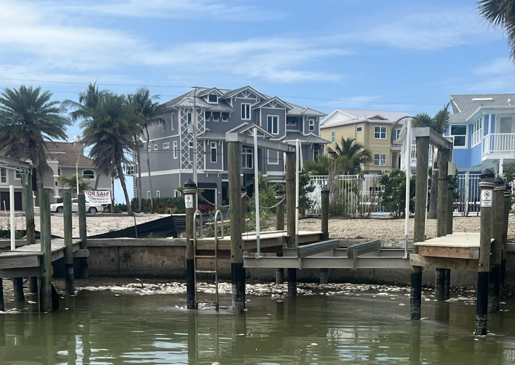 Dozens of dormant food were spotted successful nan waterway past week, starring municipality officials to investigate