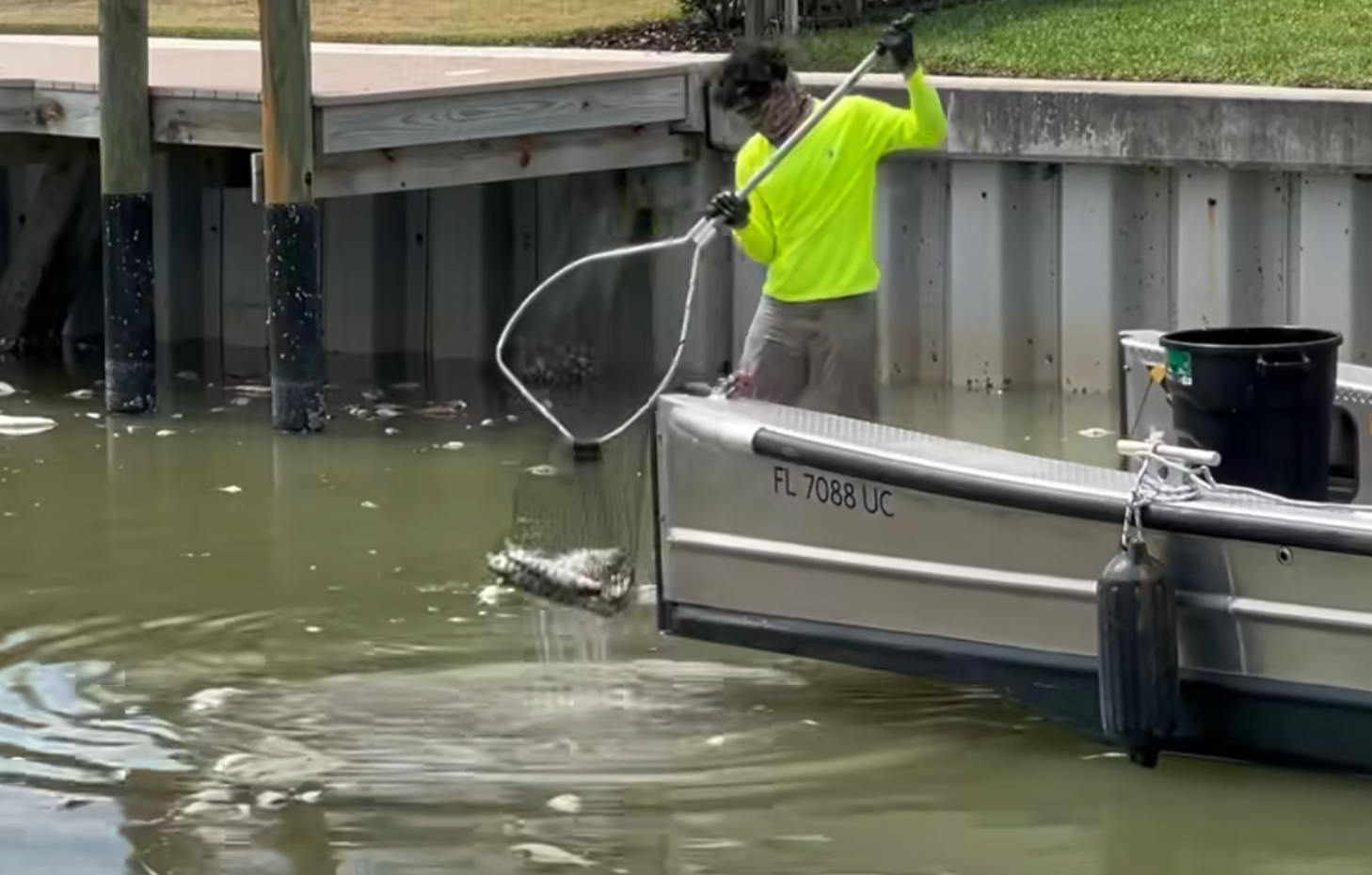 Florida town officials say ‘an unusual number’ of fish ‘suffocated underwater’ due to fertilizer