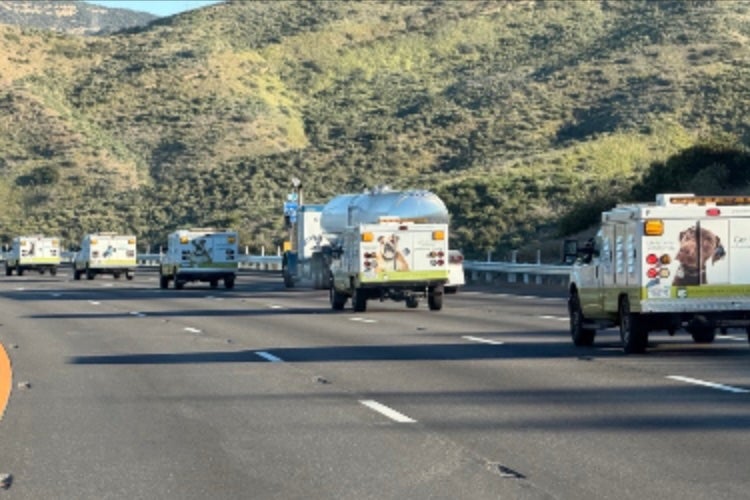 Around 700 dogs and cats person been rescued successful a monolithic Los Angeles County animal use operation