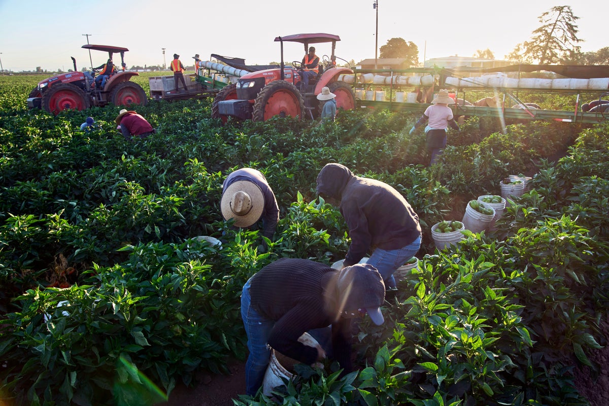 Women farmworker advocates speak out on sexual assault as César Chavez allegations surface